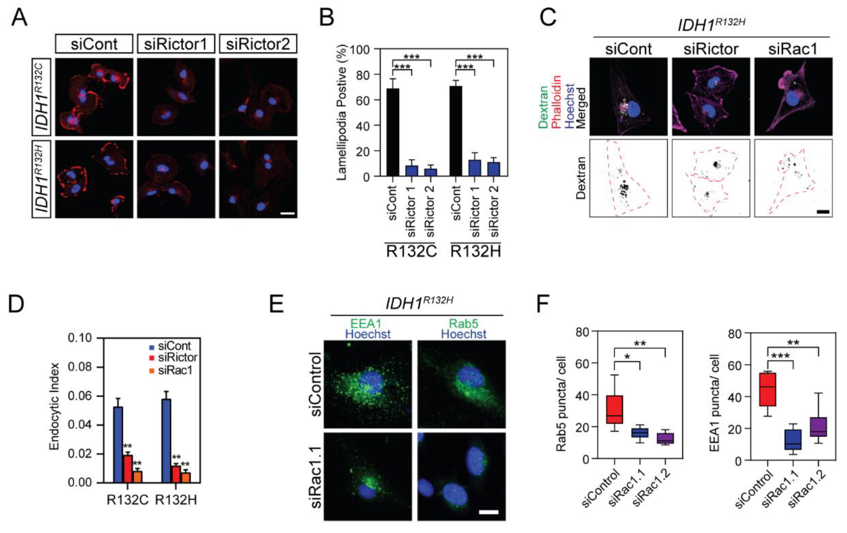 Cancers 12 00787 g005 Cancers 12 00787 g005
