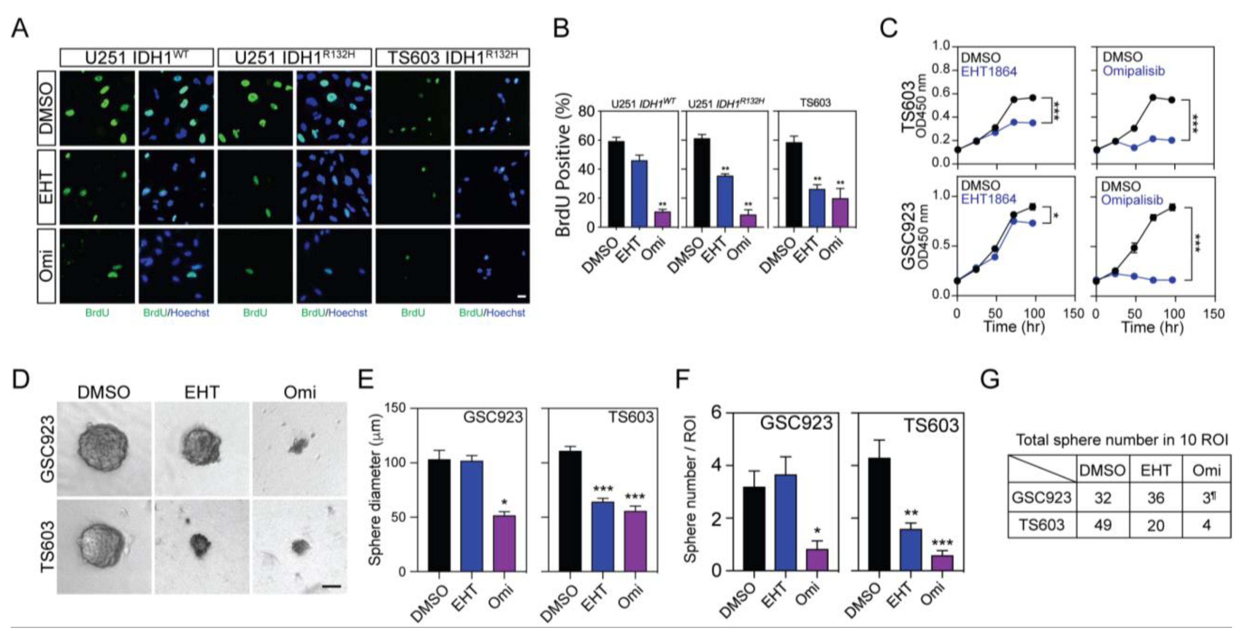 Cancers 12 00787 g006 Cancers 12 00787 g006