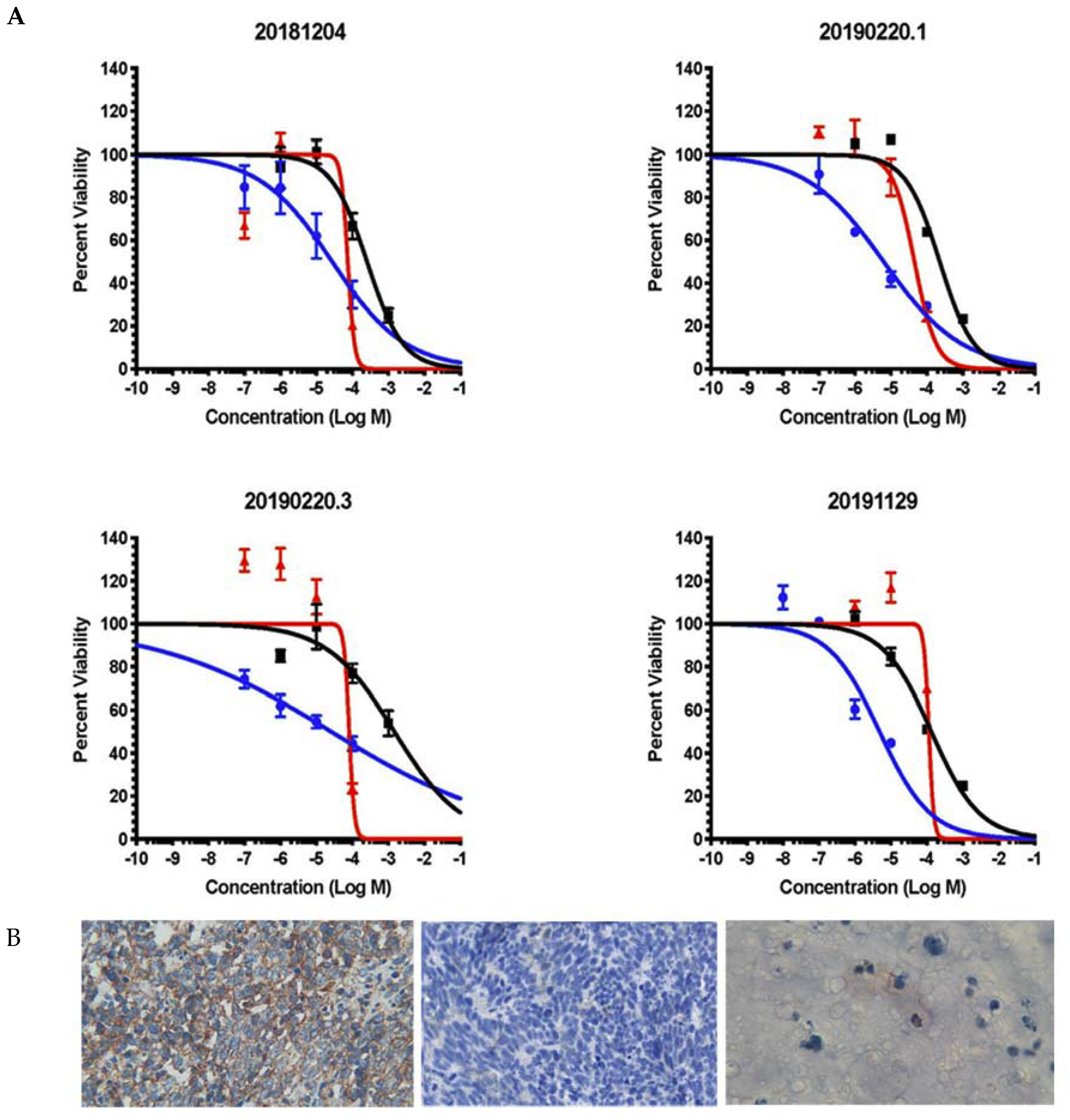 Cancers 12 00788 g005
