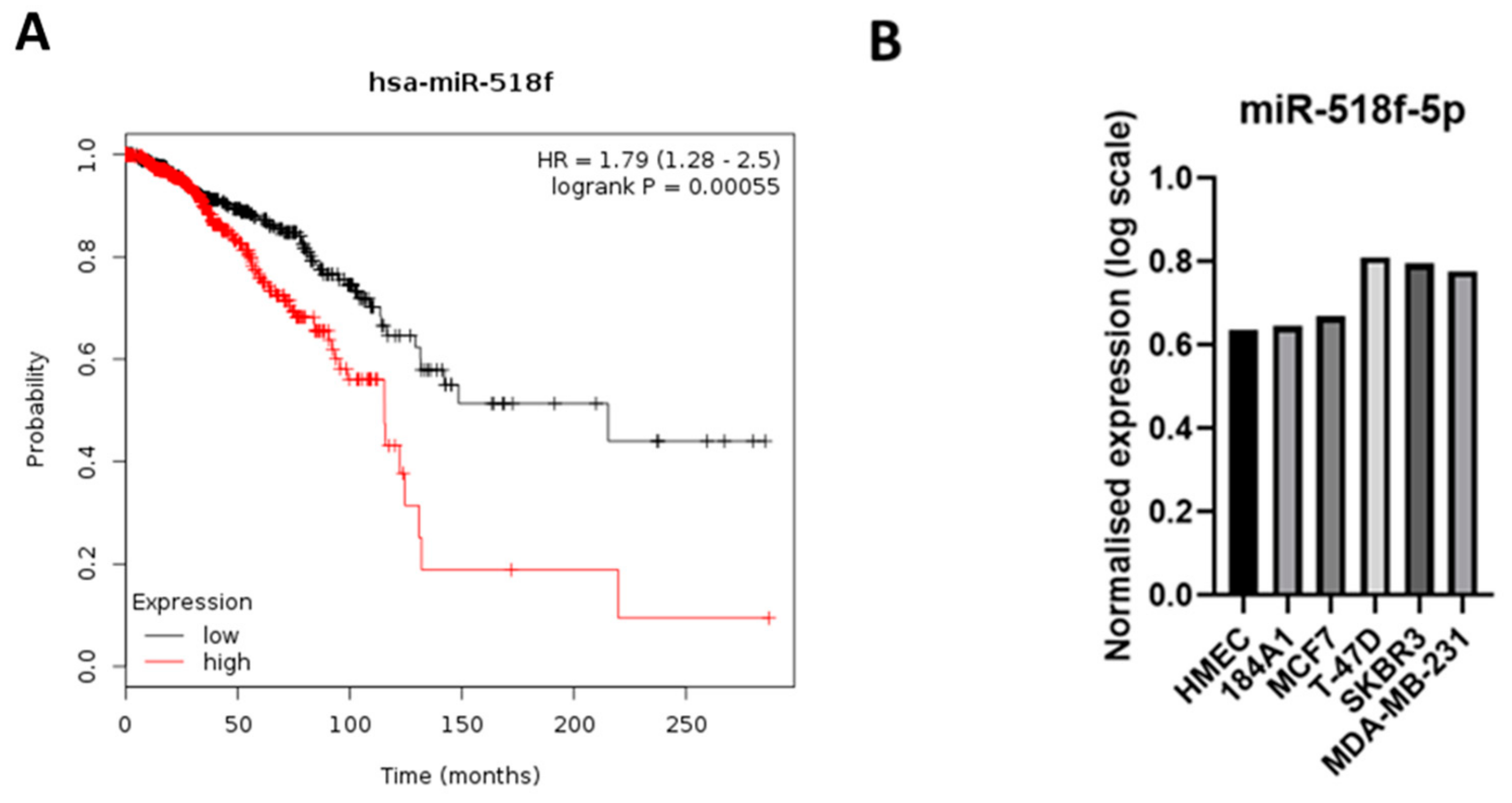 Cancers 12 00795 g001 Cancers 12 00795 g001