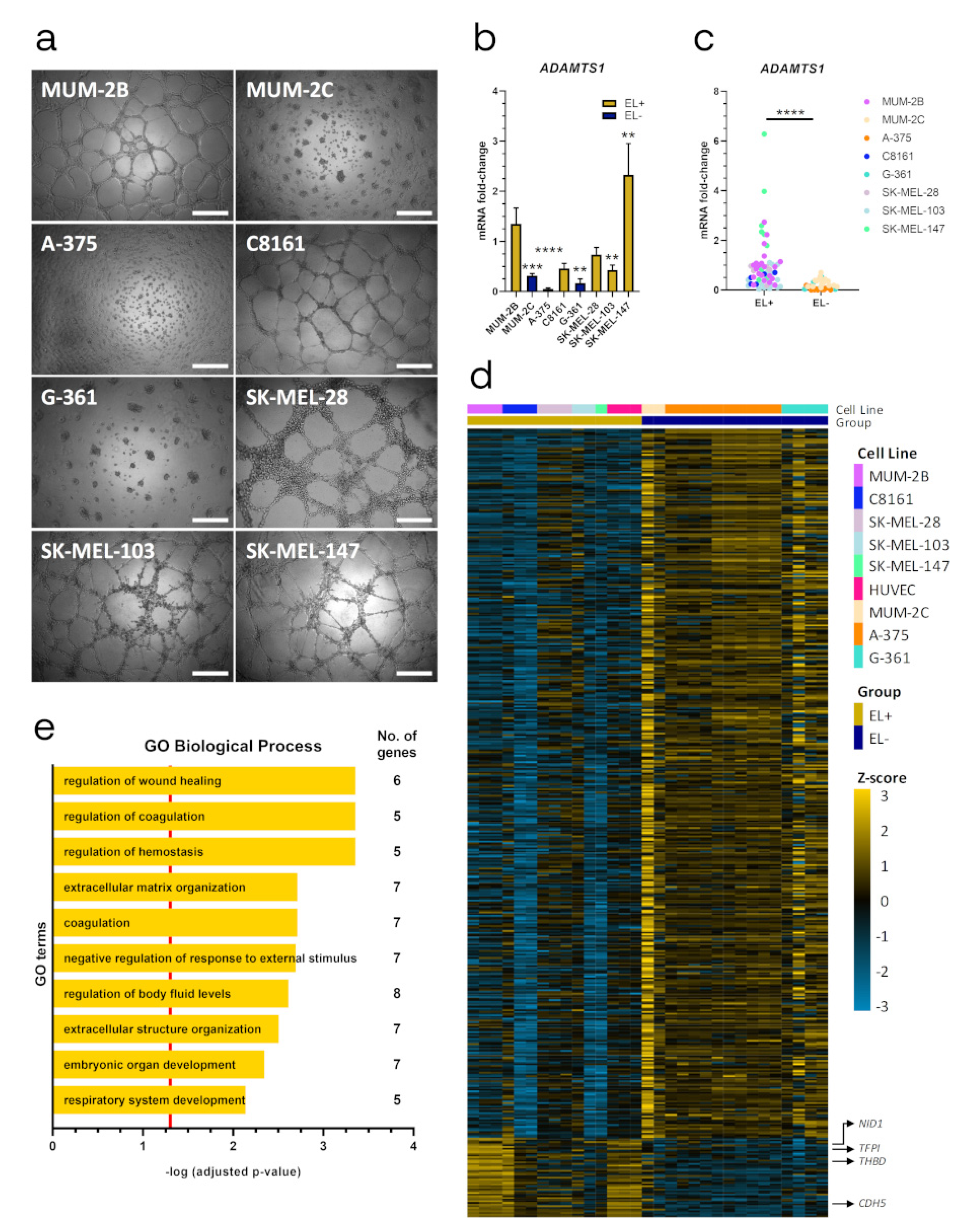 Cancers 12 00801 g001