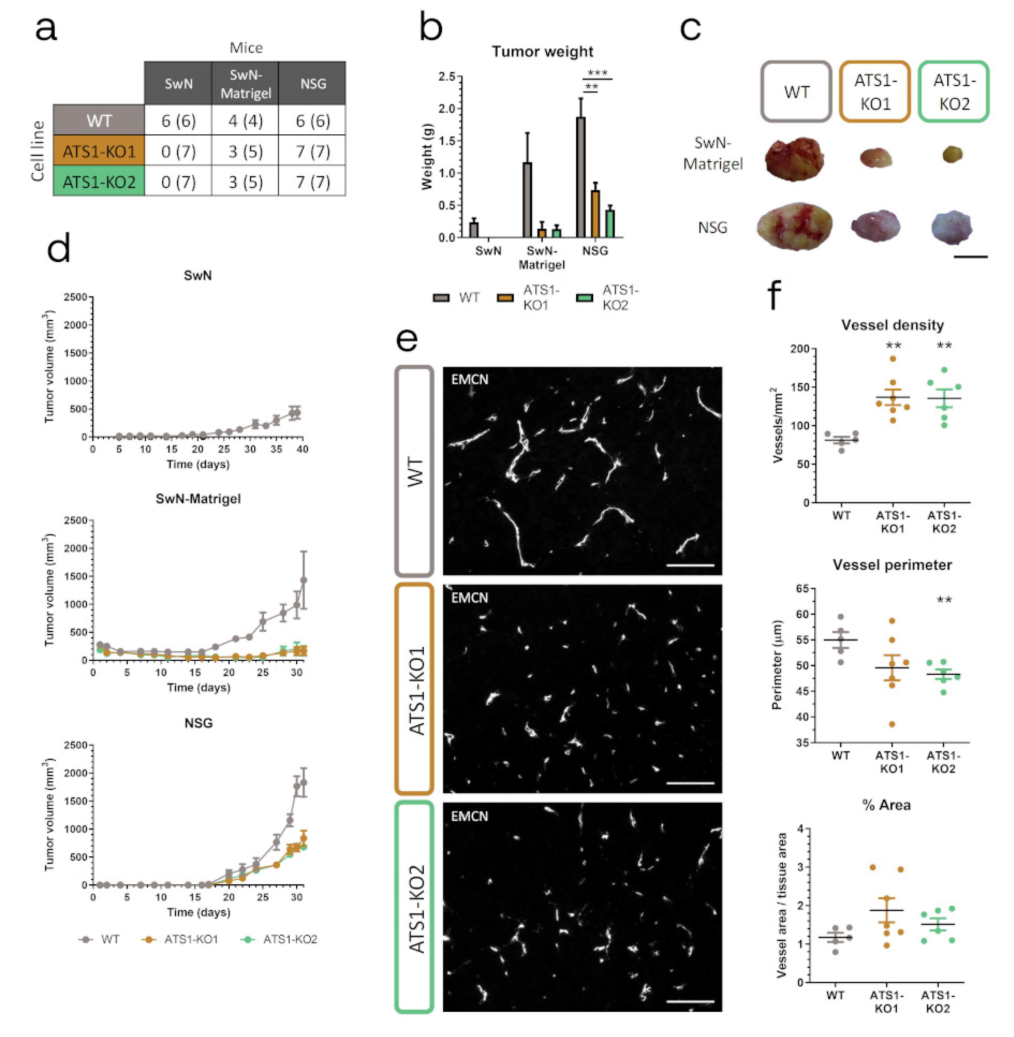 Cancers 12 00801 g003