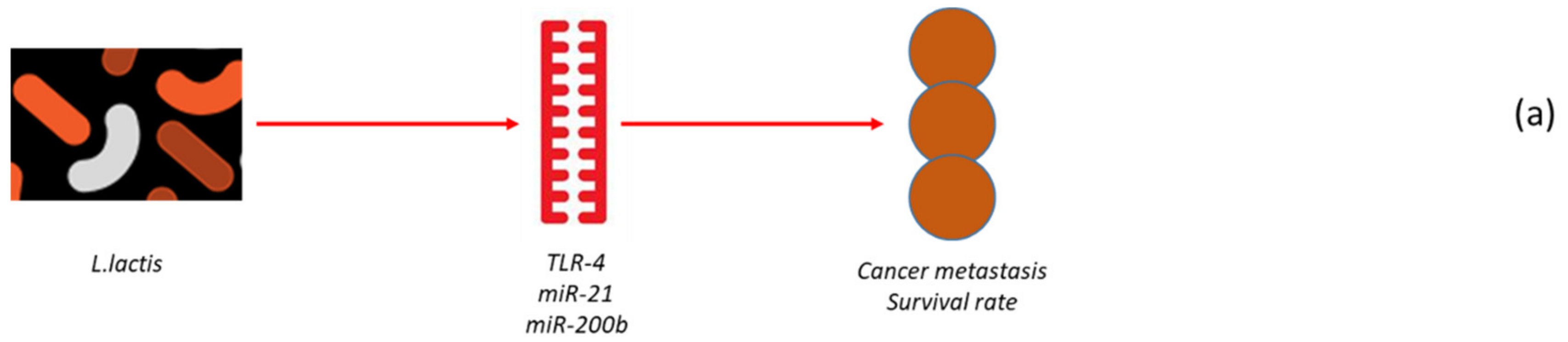 Cancers 12 00805 g002a
