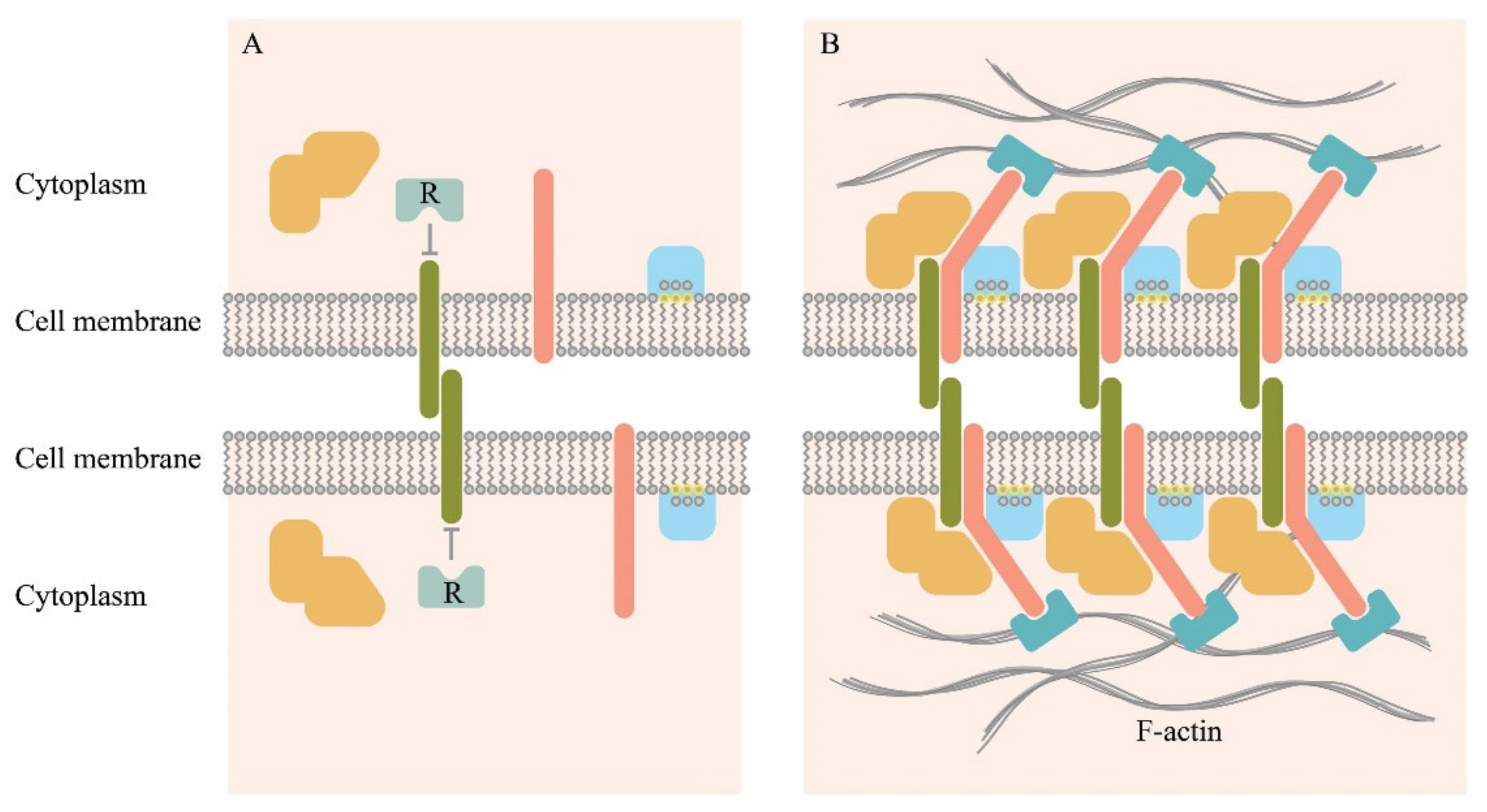 Cancers 12 00806 g002