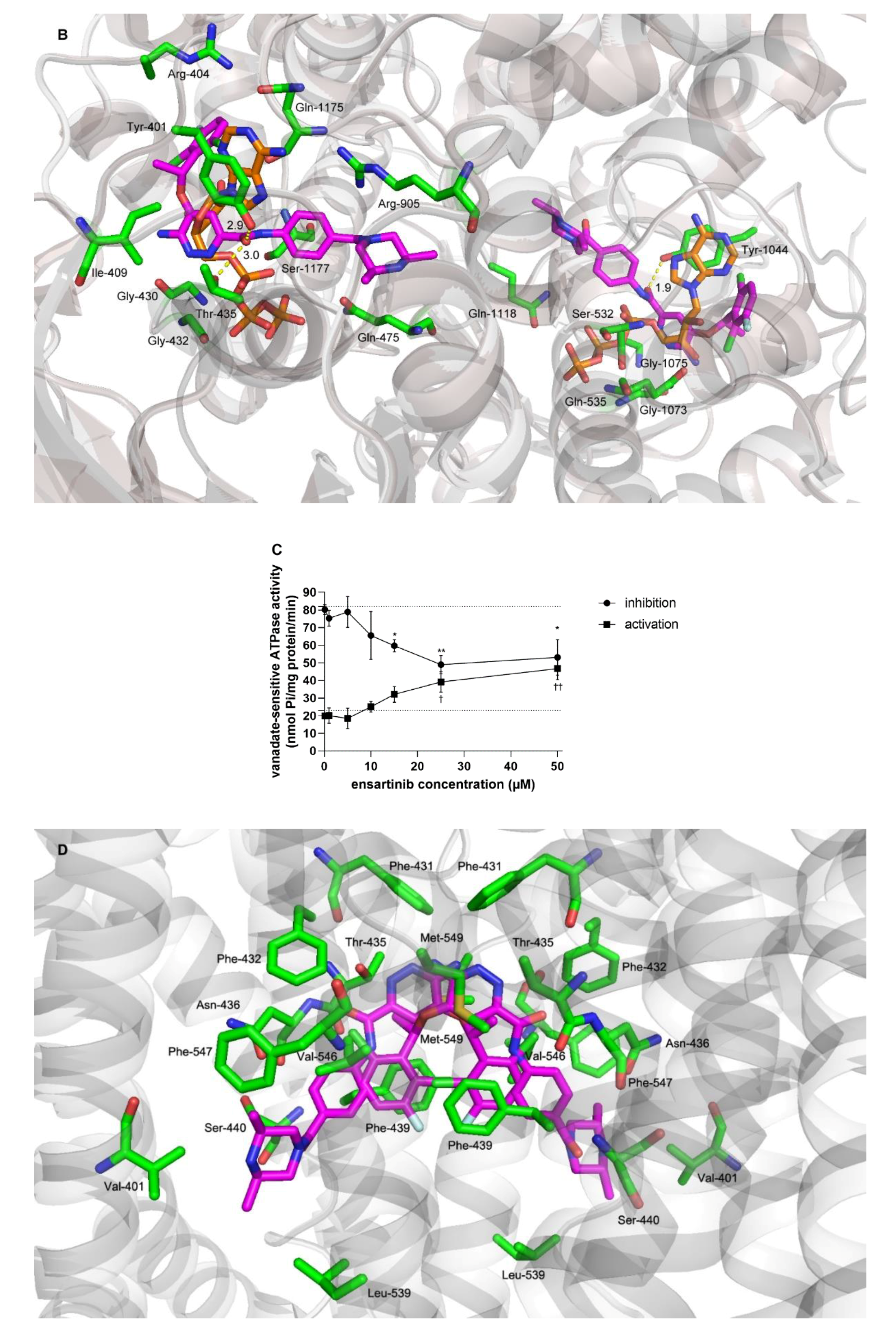 Cancers 12 00813 g005b