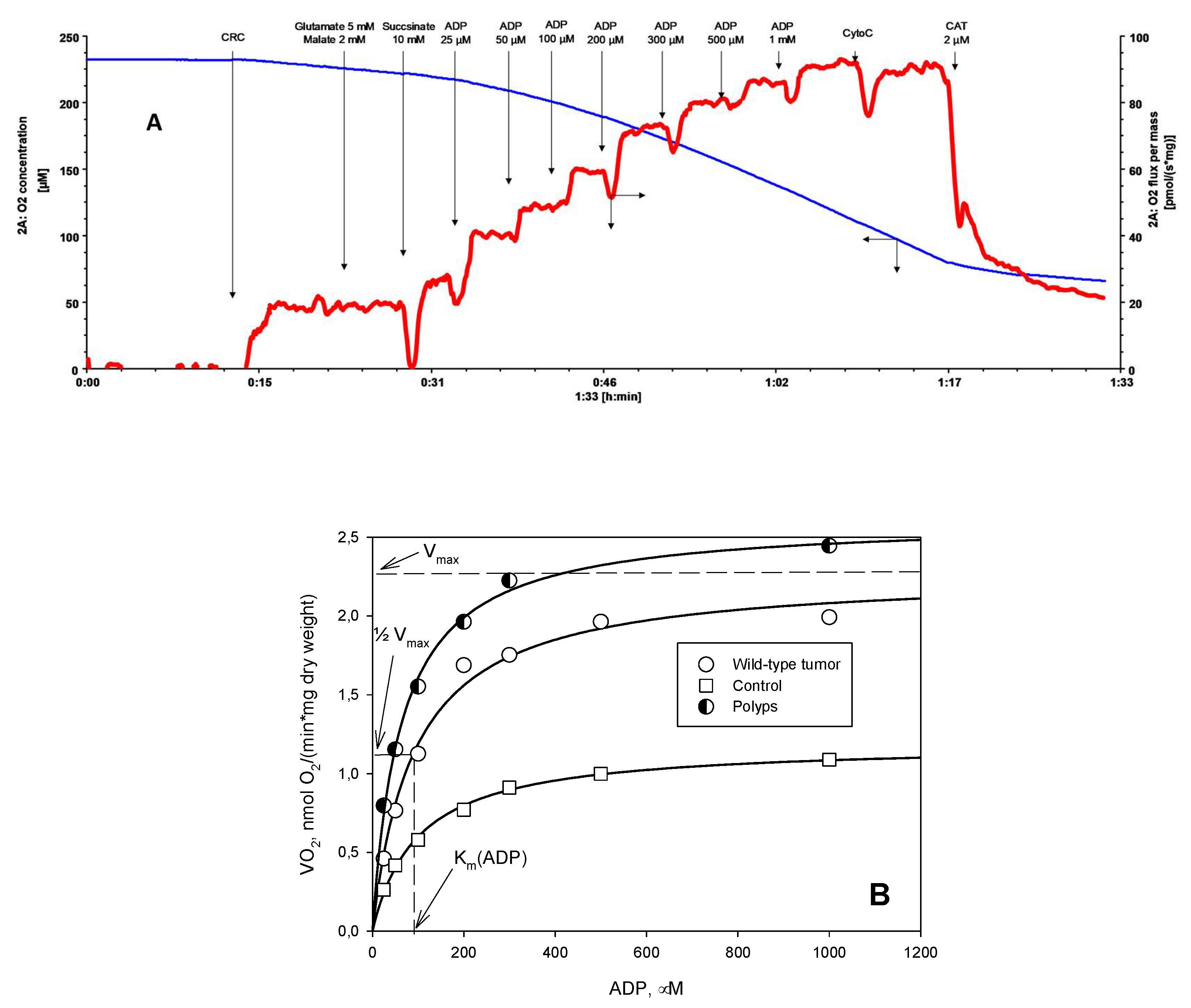 Cancers 12 00815 g003