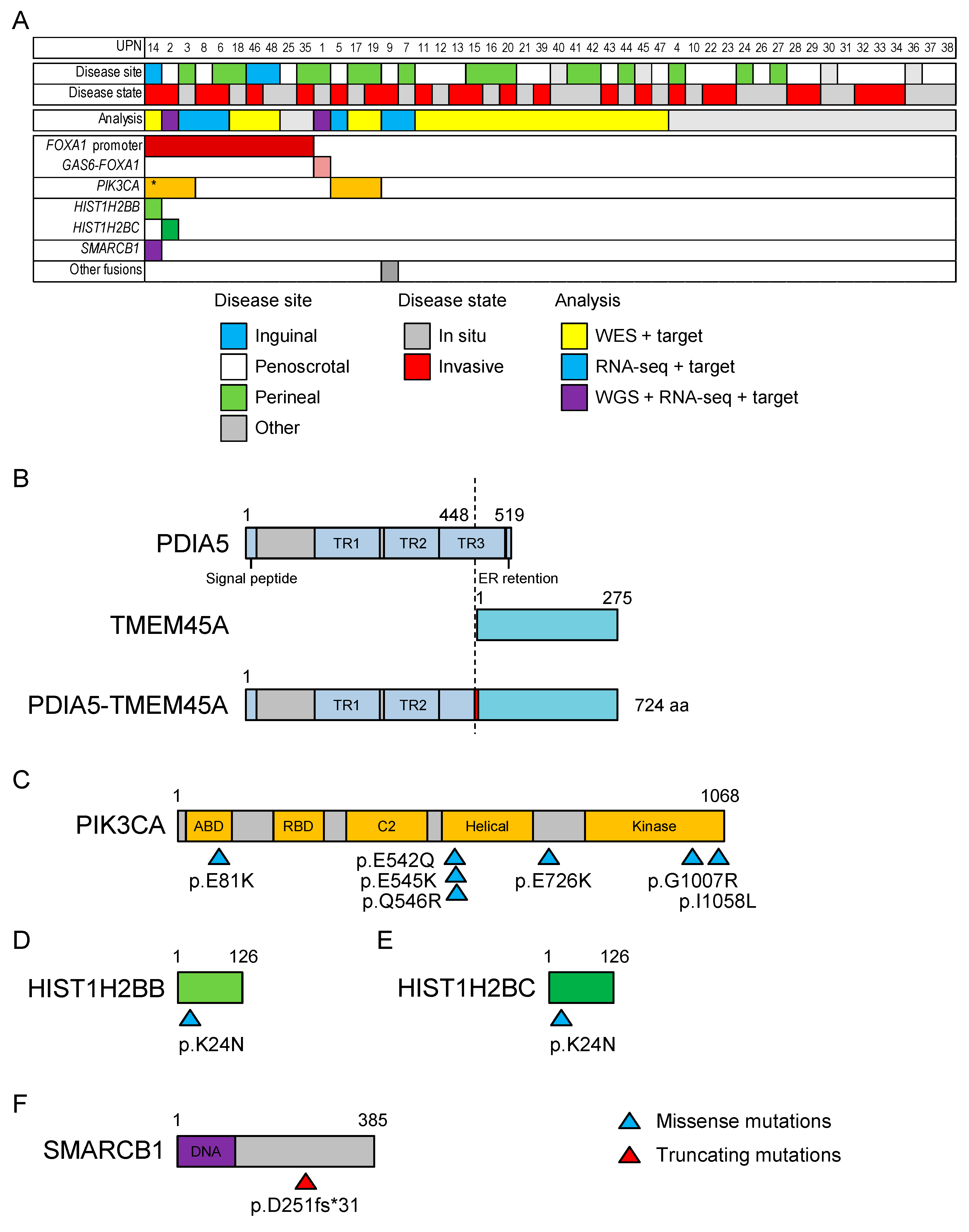 Cancers 12 00820 g002