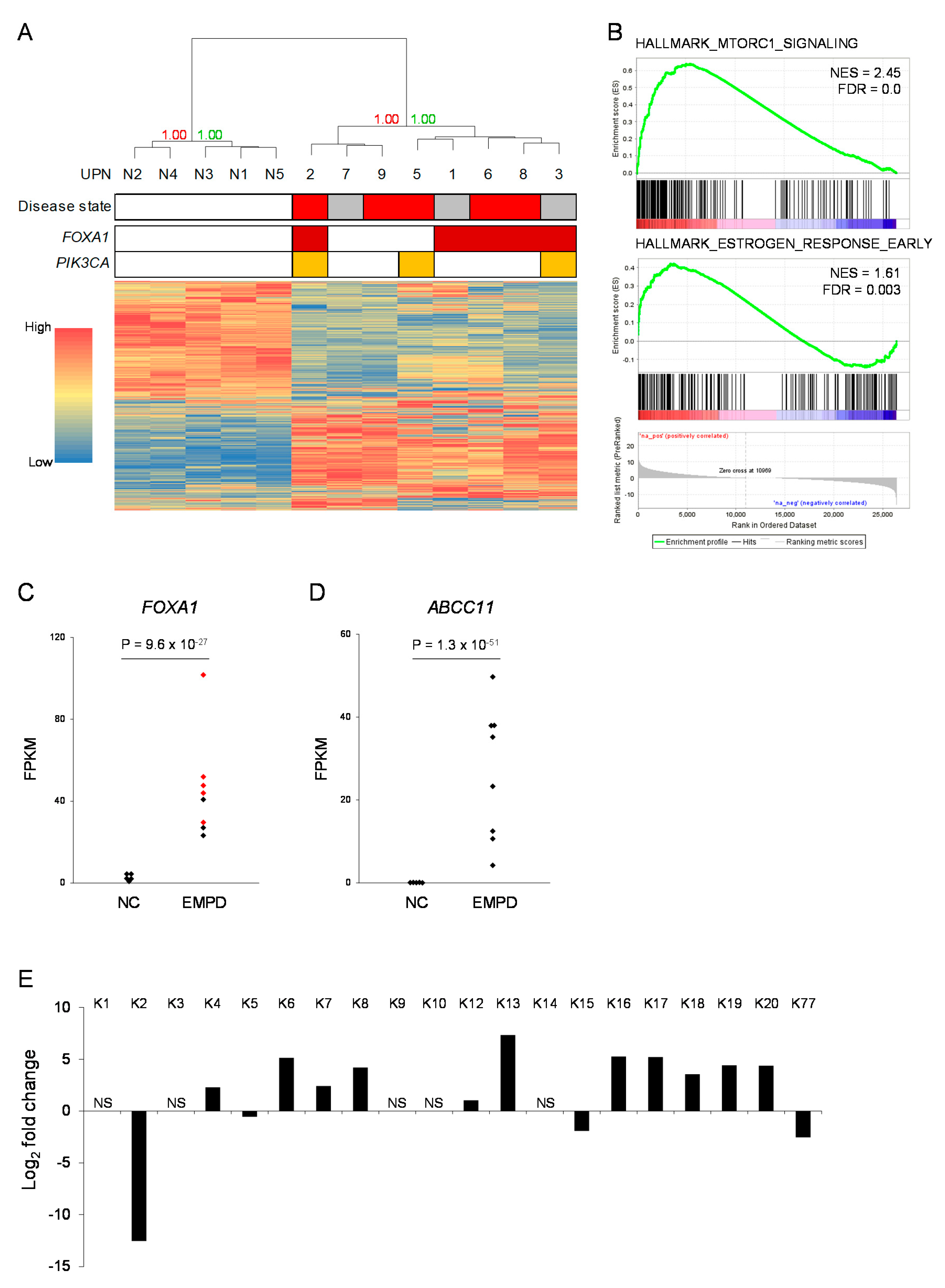Cancers 12 00820 g003