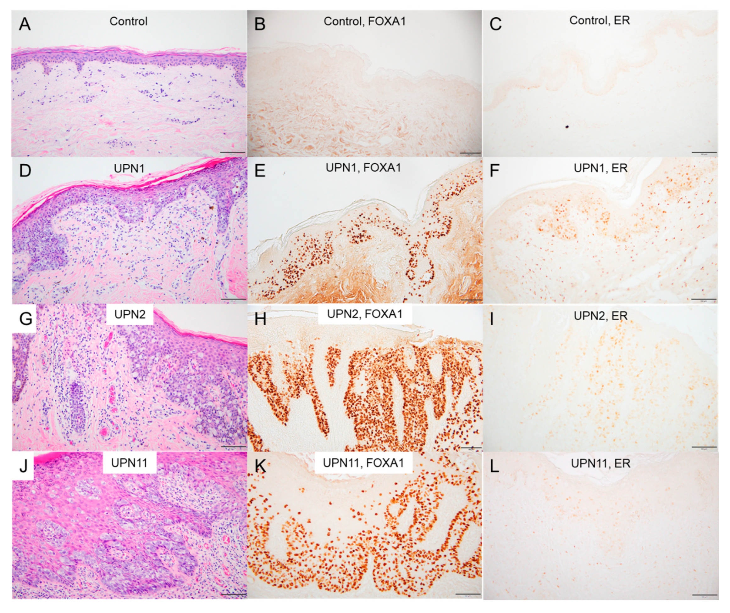 Cancers 12 00820 g004