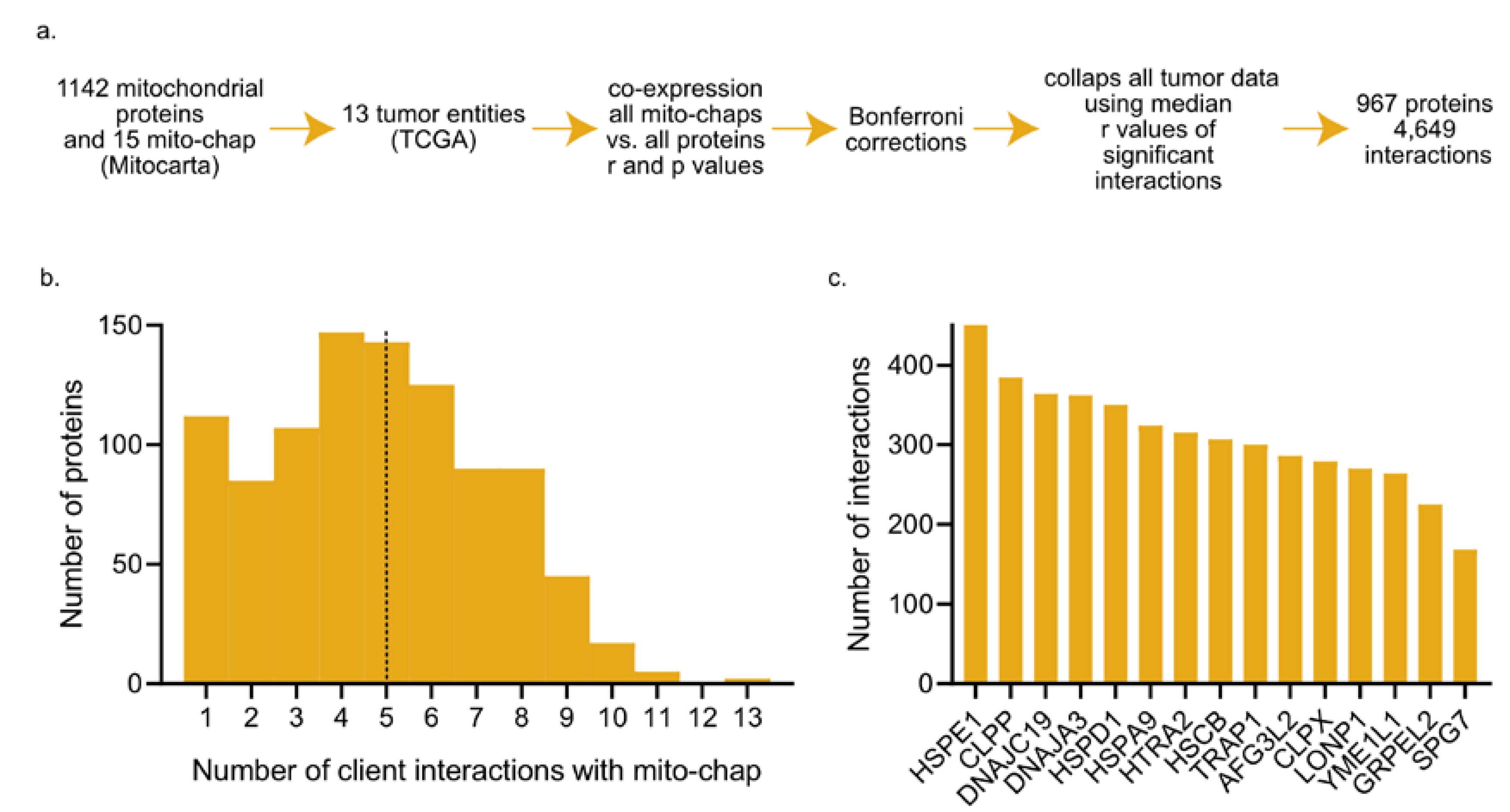 Cancers 12 00825 g001 Cancers 12 00825 g001