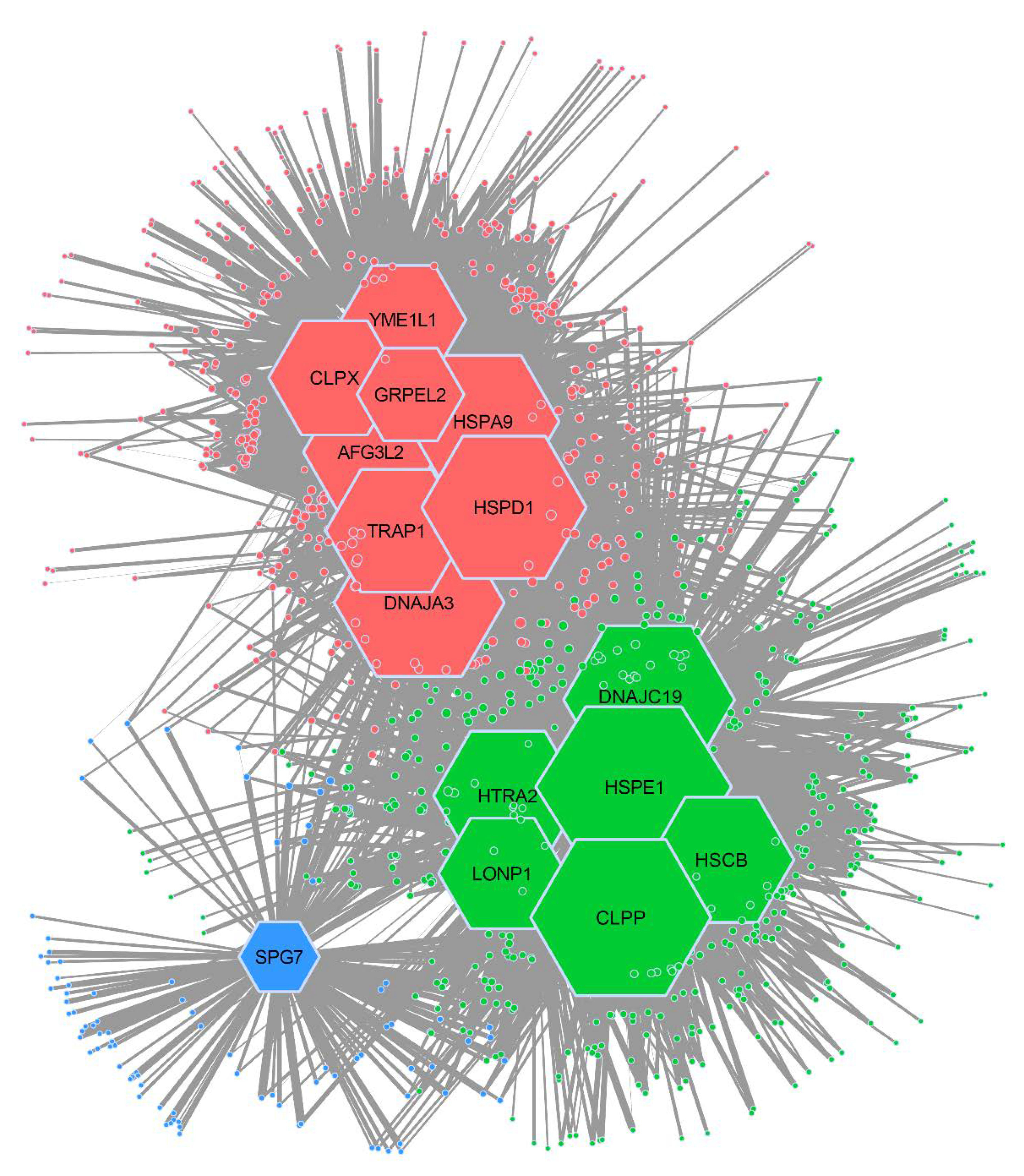 Cancers 12 00825 g002 Cancers 12 00825 g002