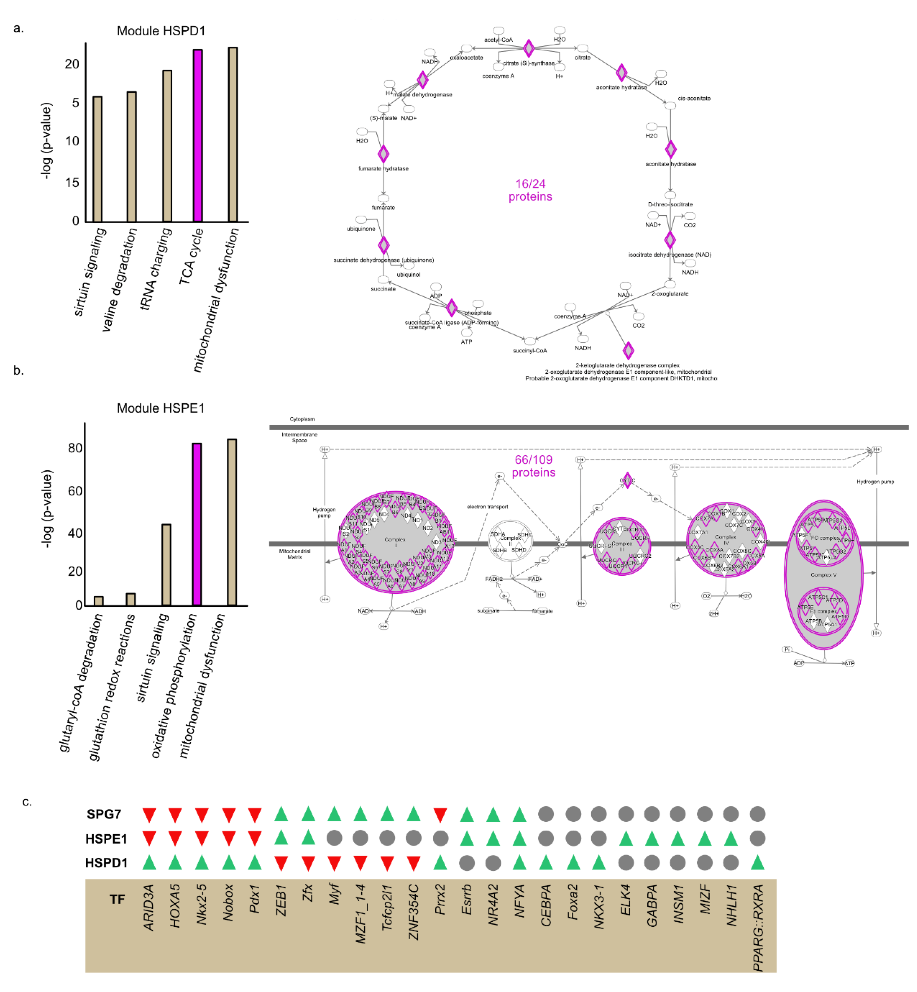 Cancers 12 00825 g003 Cancers 12 00825 g003