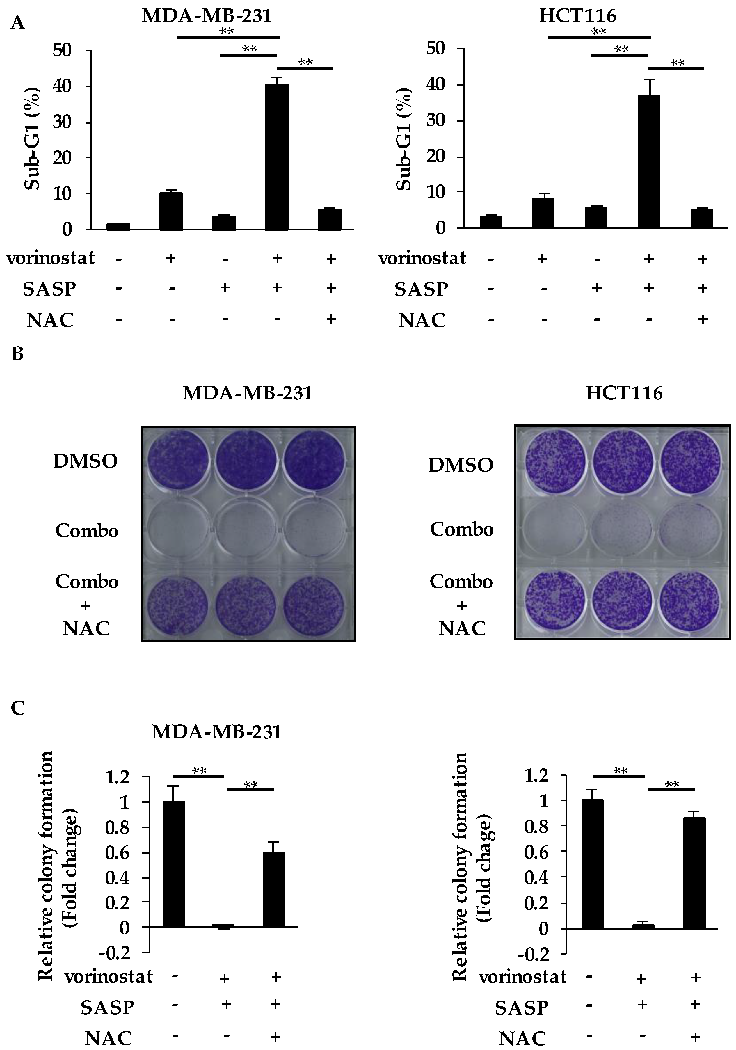 Cancers 12 00827 g005 Cancers 12 00827 g005