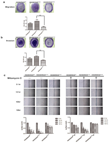 Cancers | Special Issue : New Therapeutic Strategies for Lung Cancer
