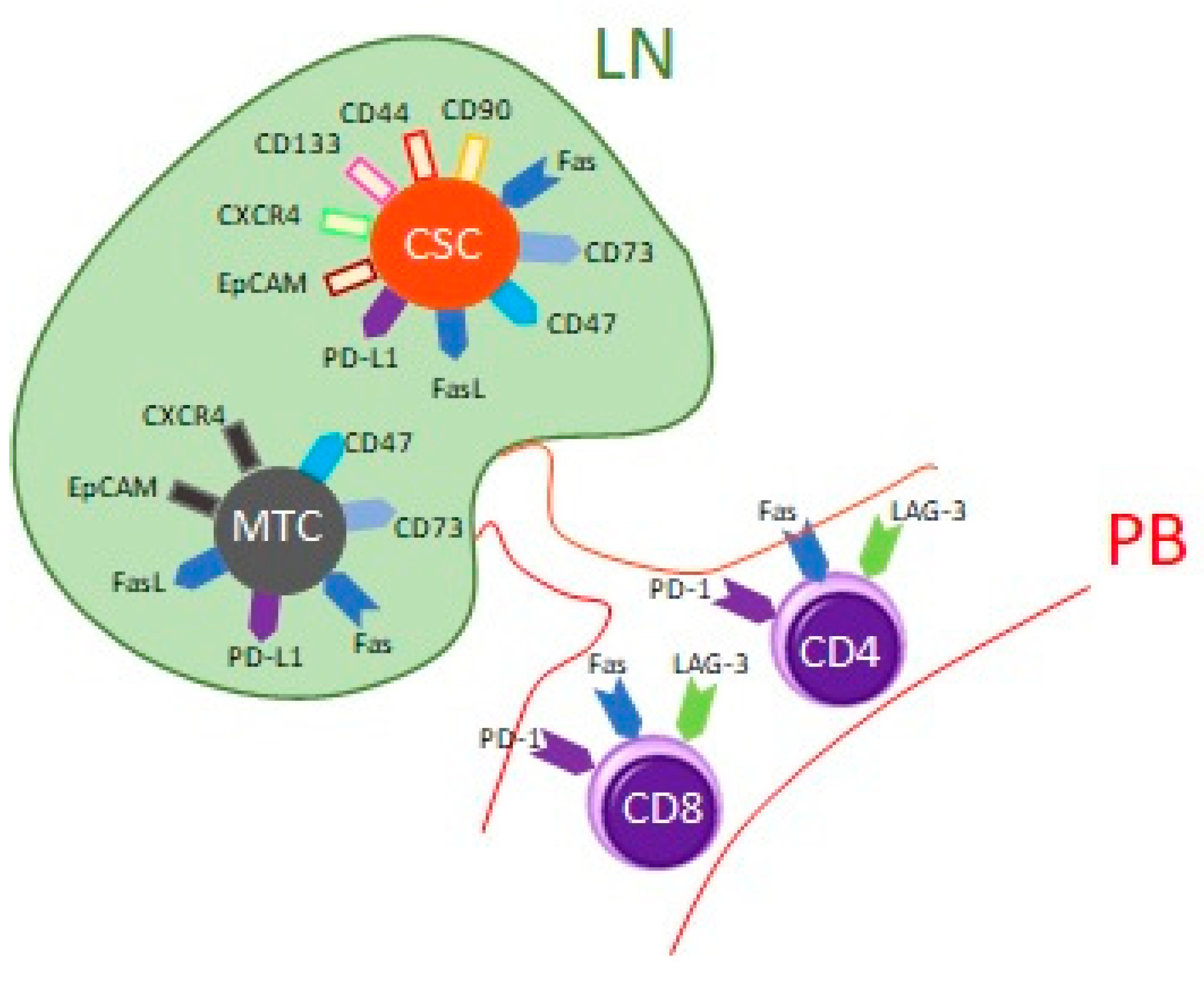 Cancers 12 00838 g001 Cancers 12 00838 g001