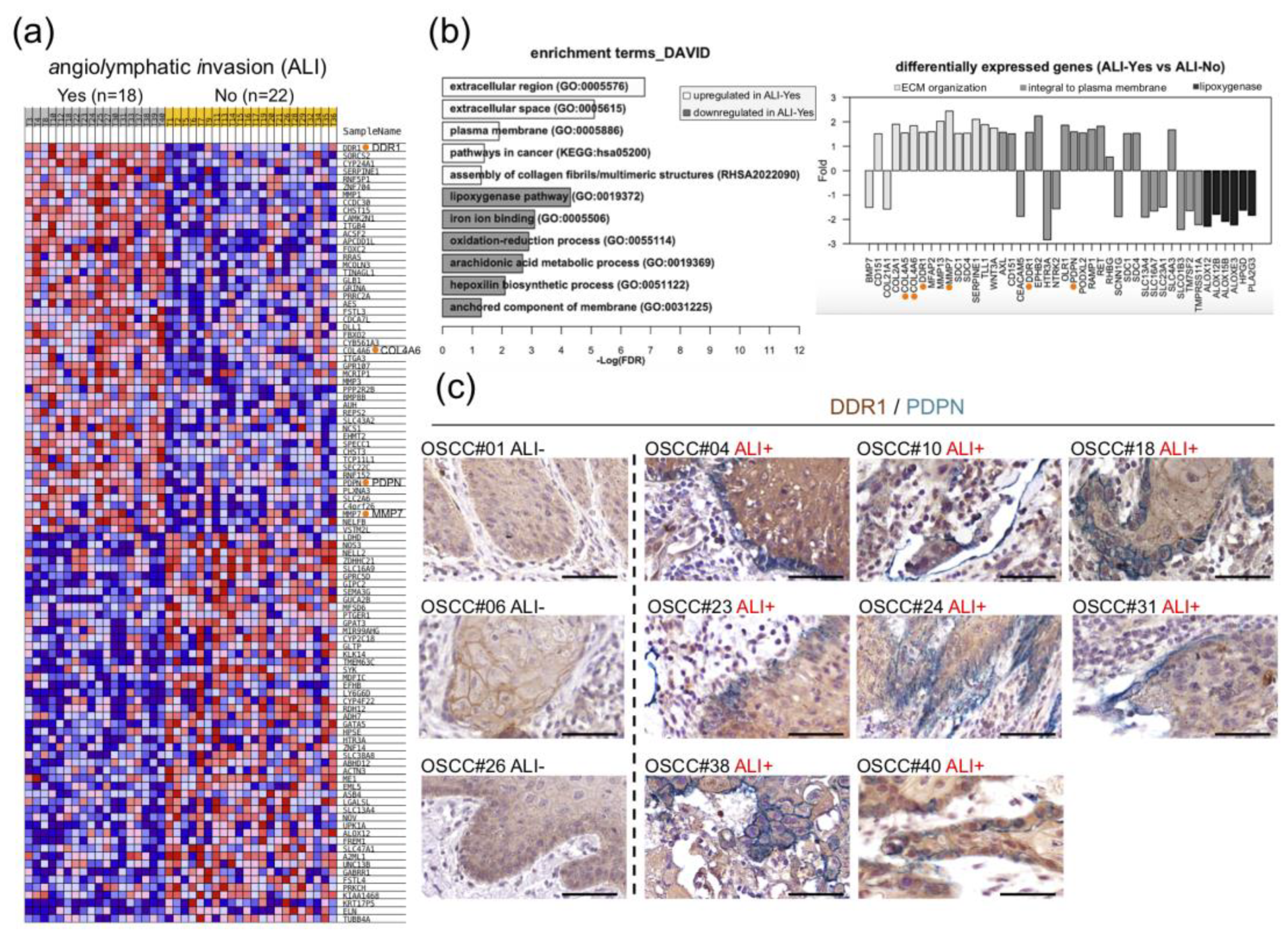 Cancers 12 00841 g001