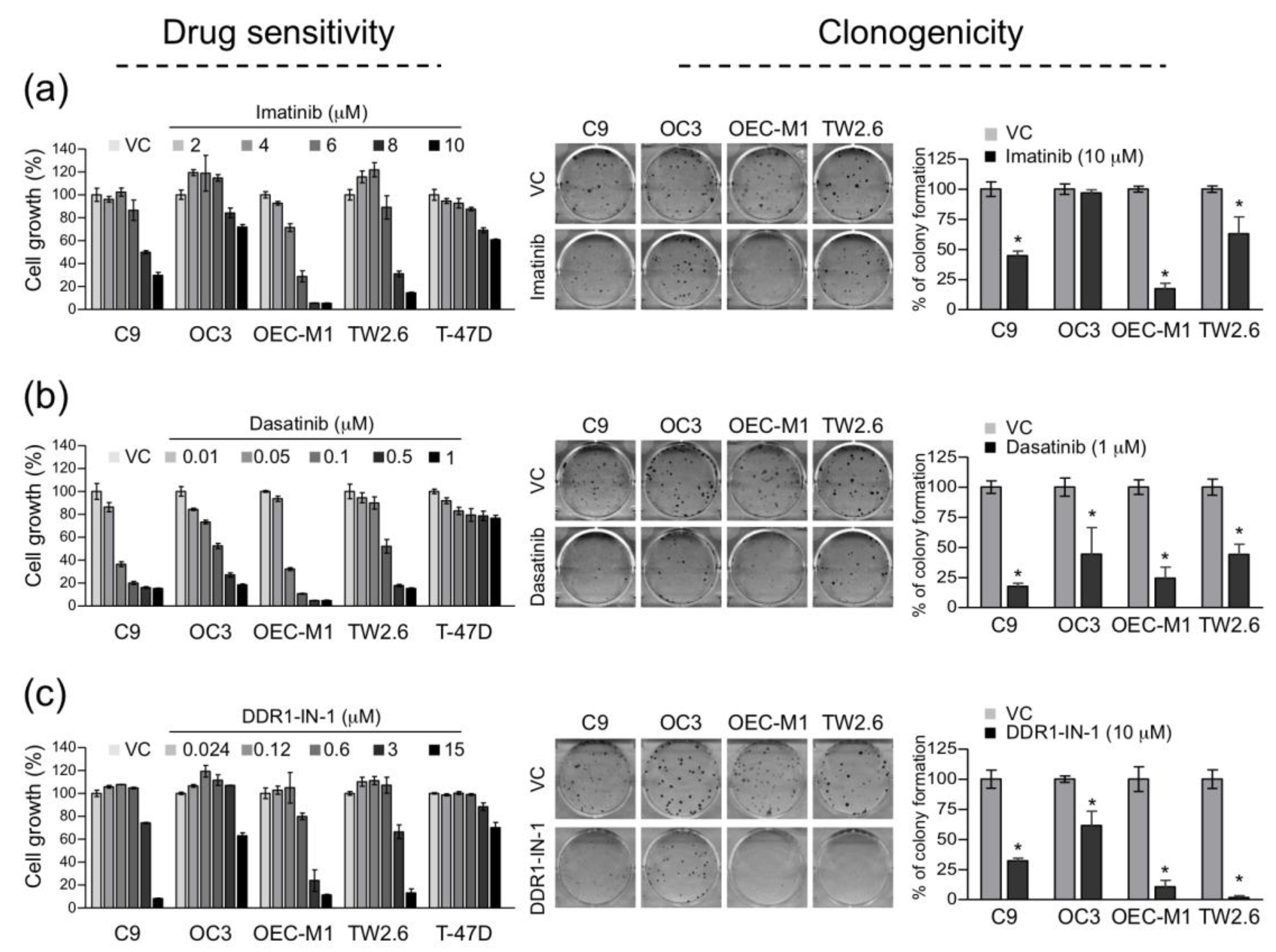 Cancers 12 00841 g004