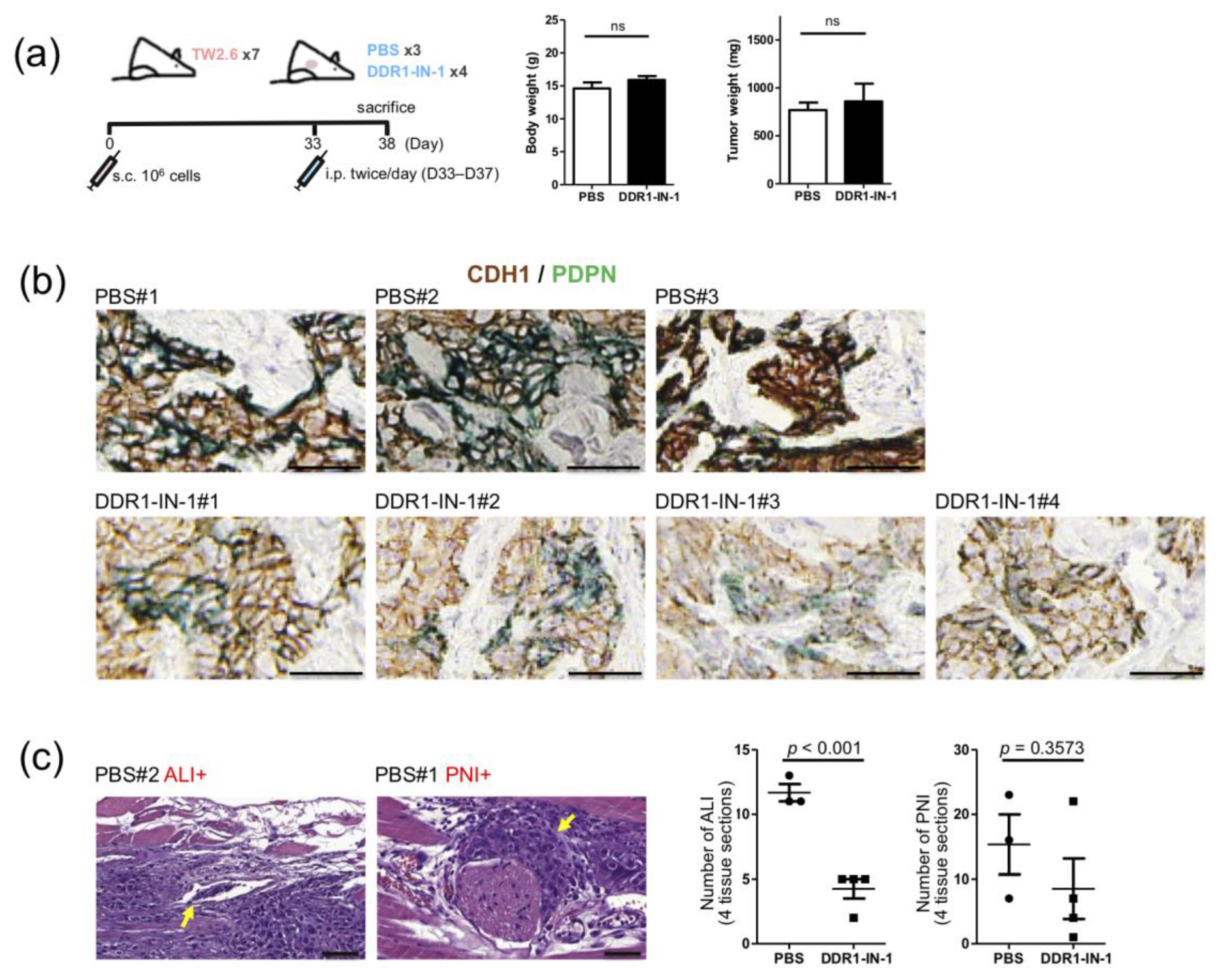 Cancers 12 00841 g007