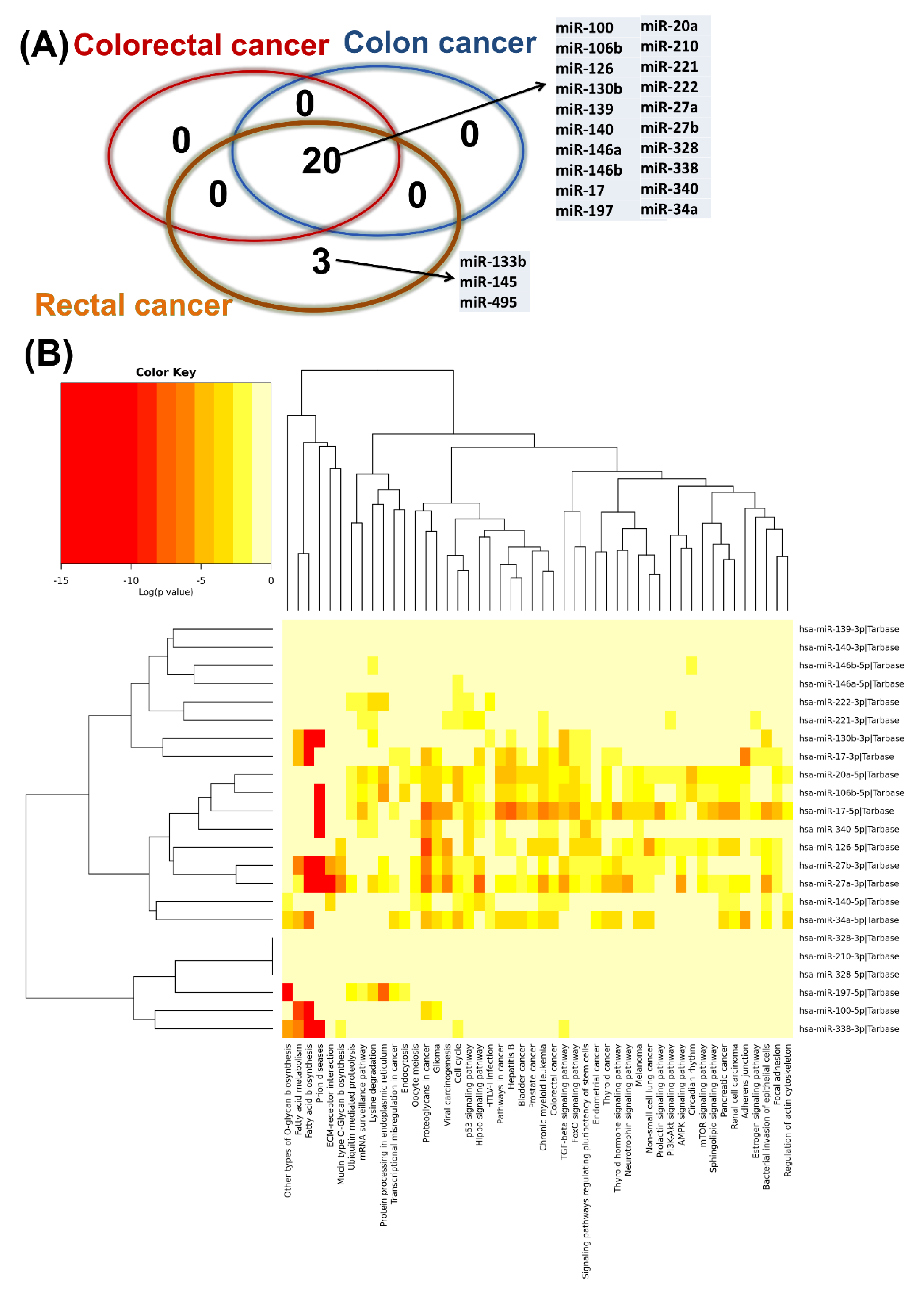 Cancers 12 00843 g007 Cancers 12 00843 g007