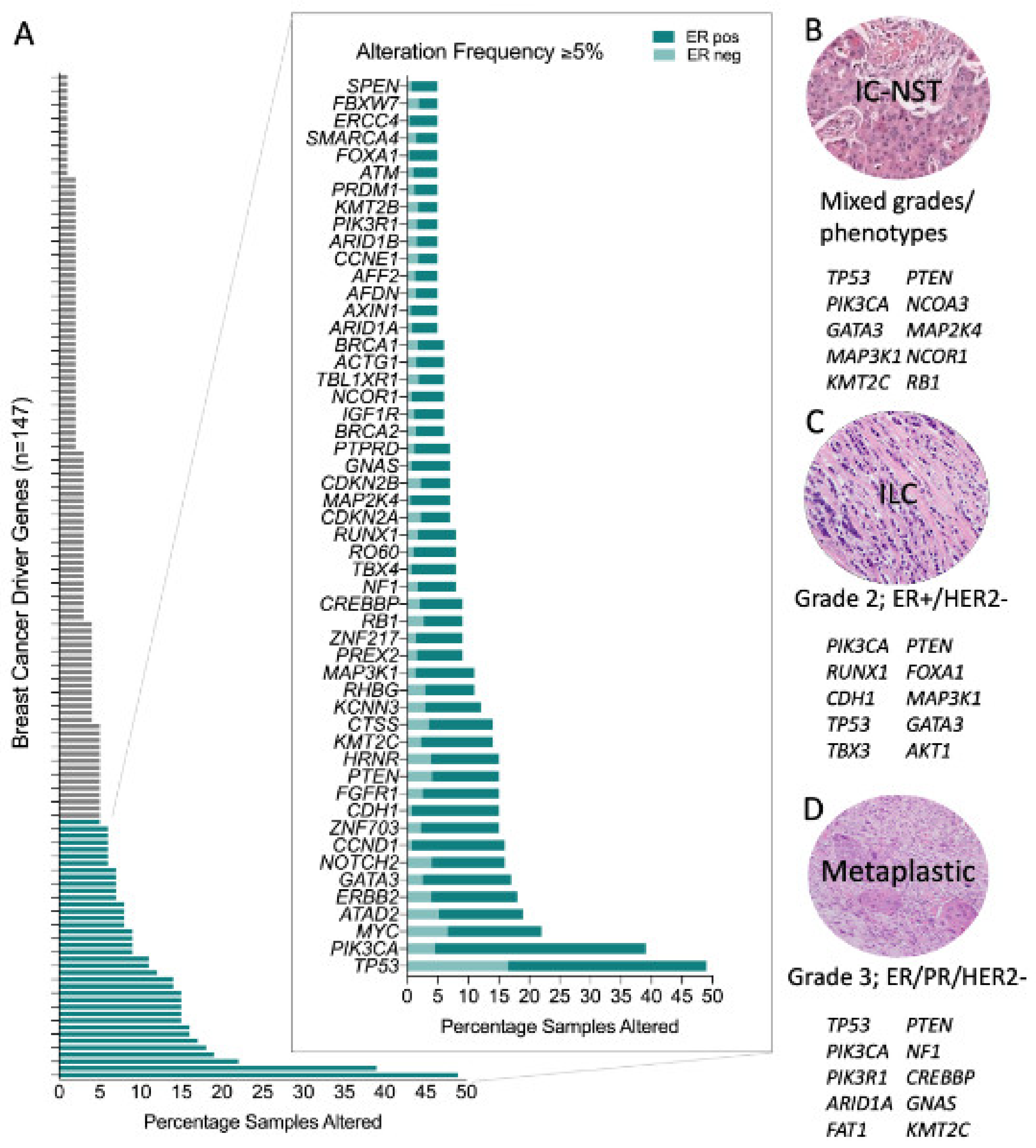 Cancers 12 00848 g001 Cancers 12 00848 g001