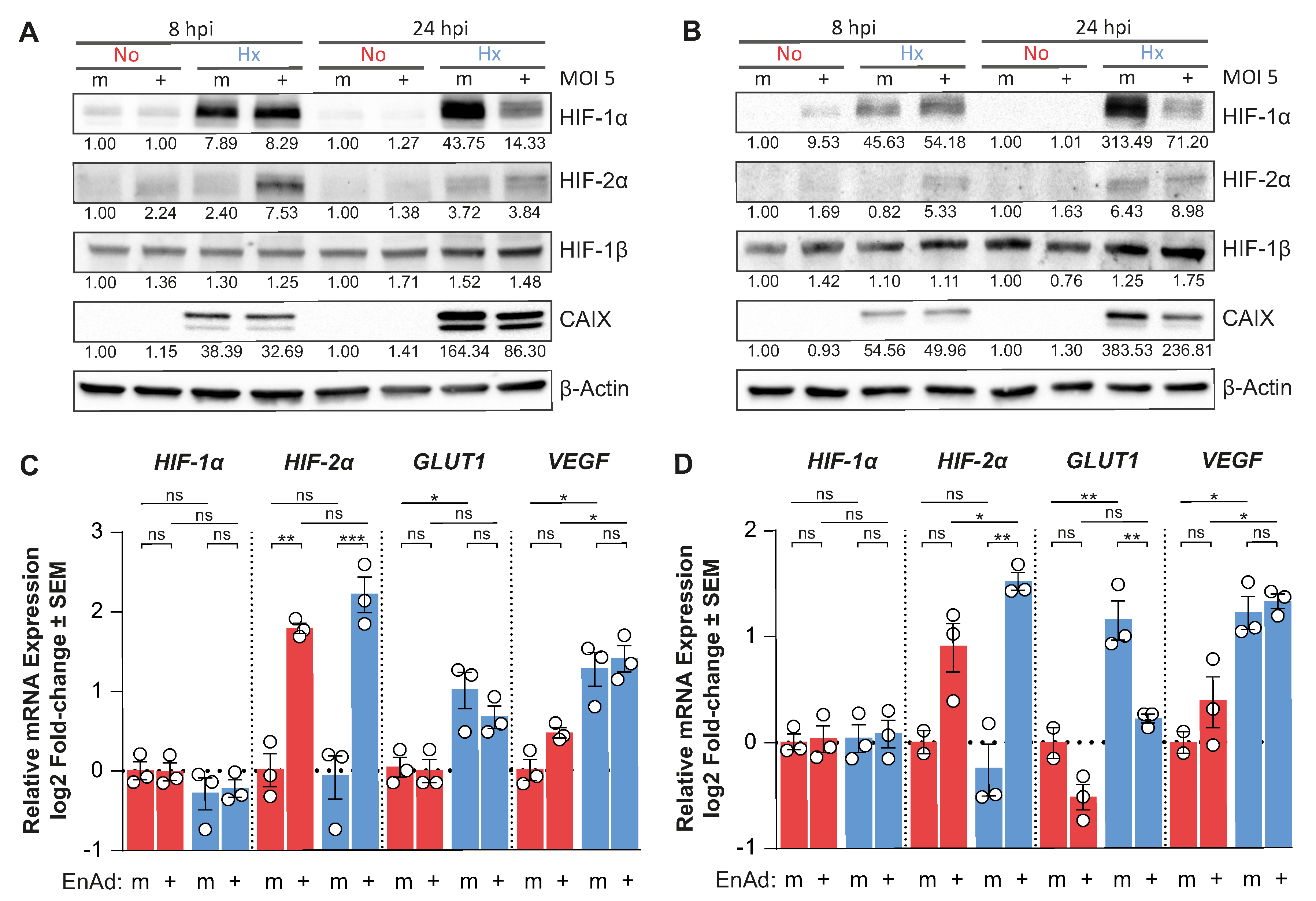 Cancers 12 00851 g003