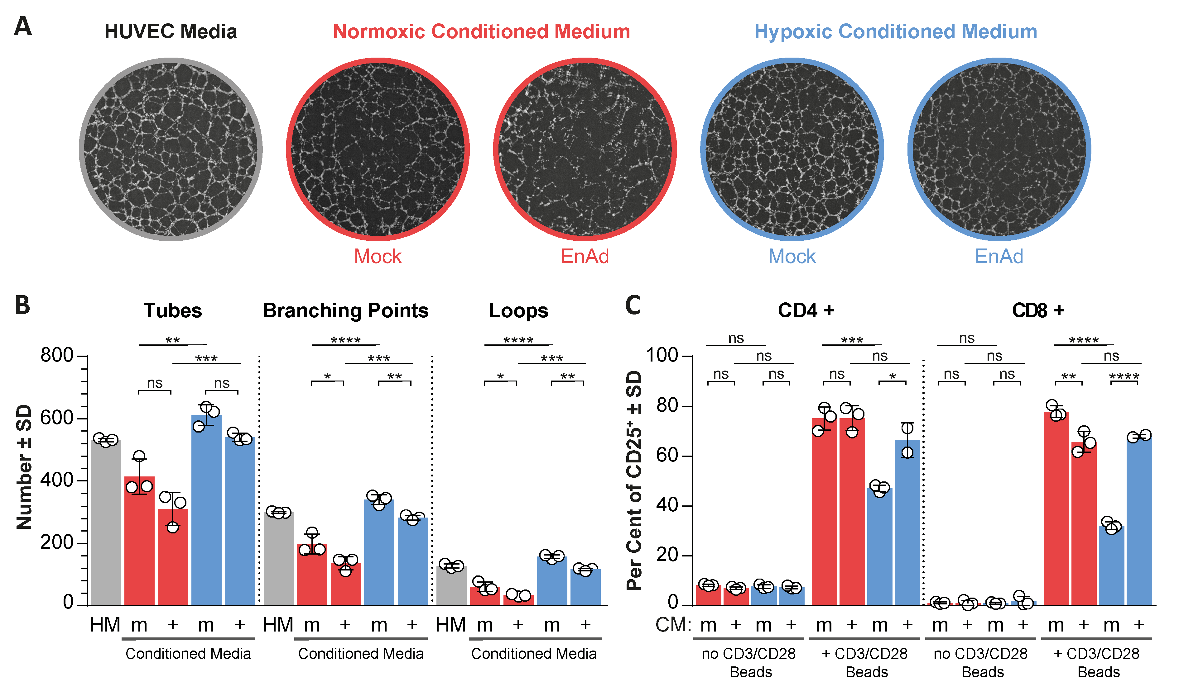 Cancers 12 00851 g004