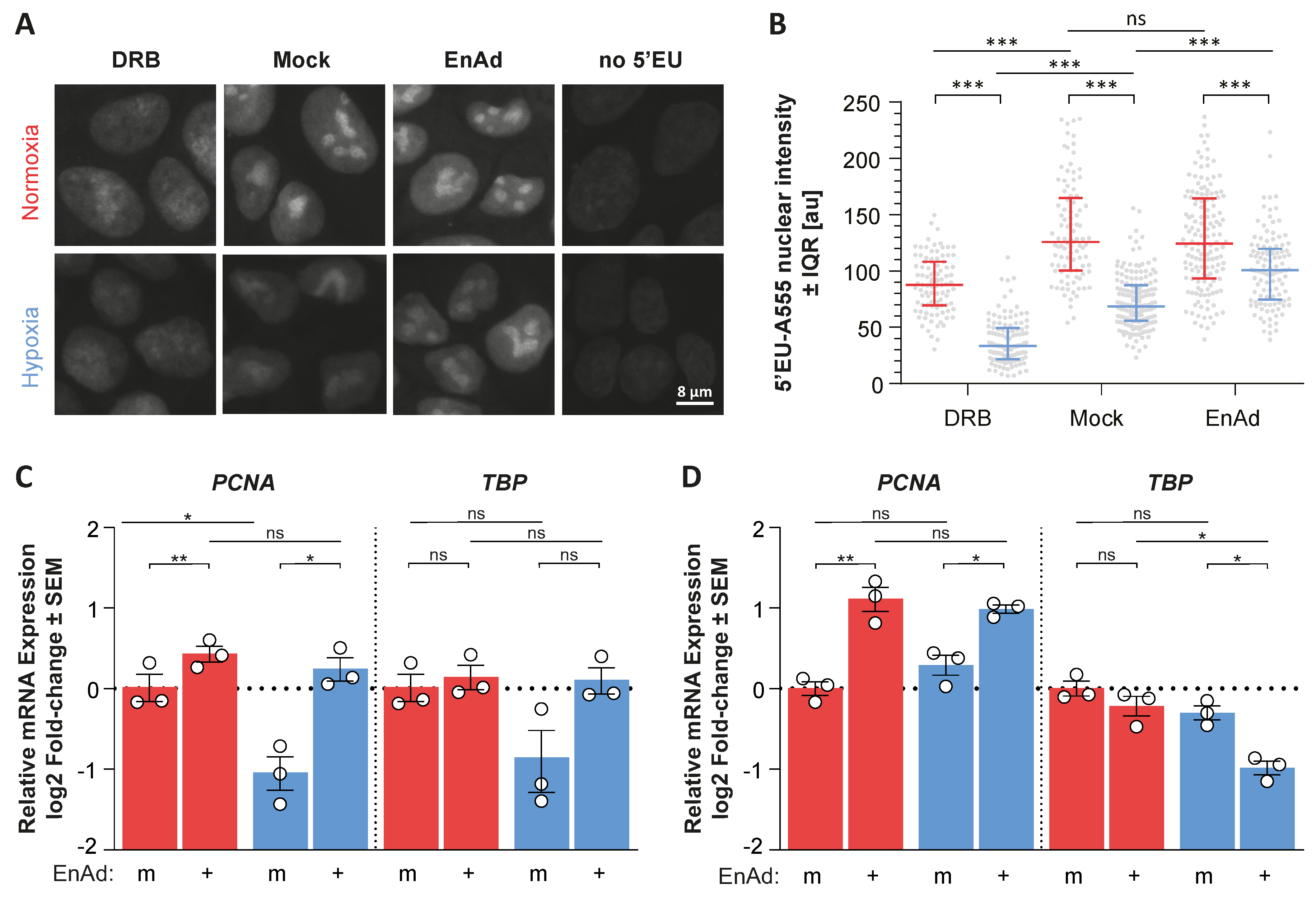 Cancers 12 00851 g0a3