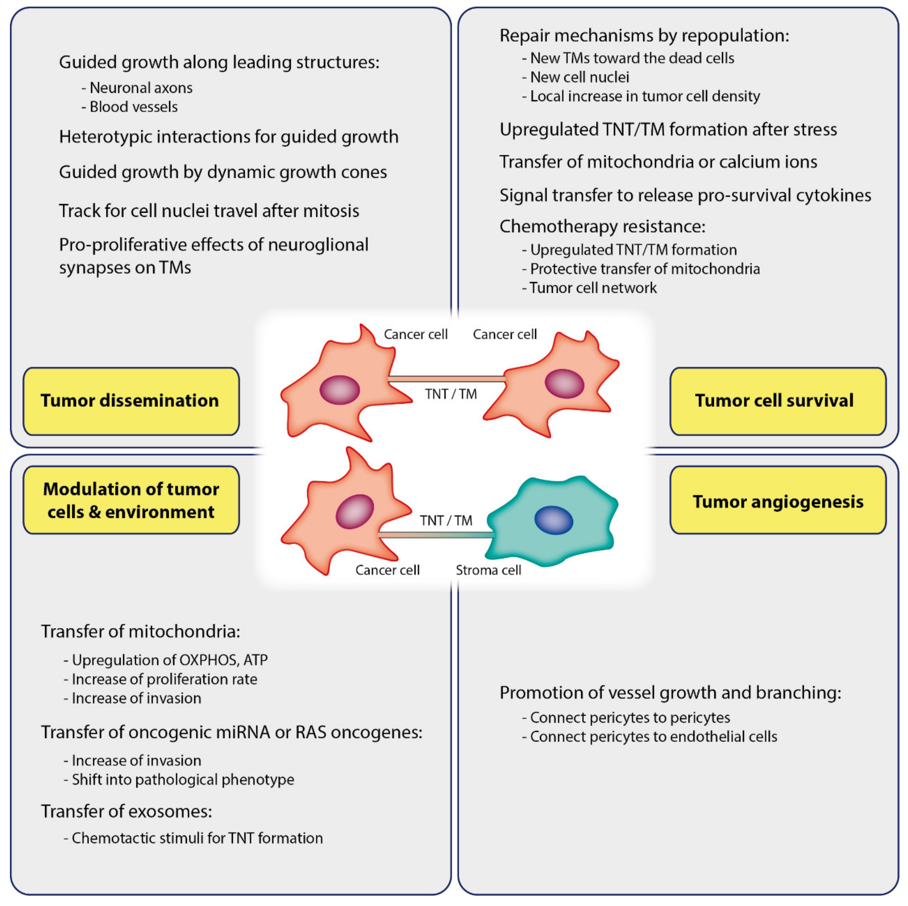 Cancers 12 00857 g002 Cancers 12 00857 g002