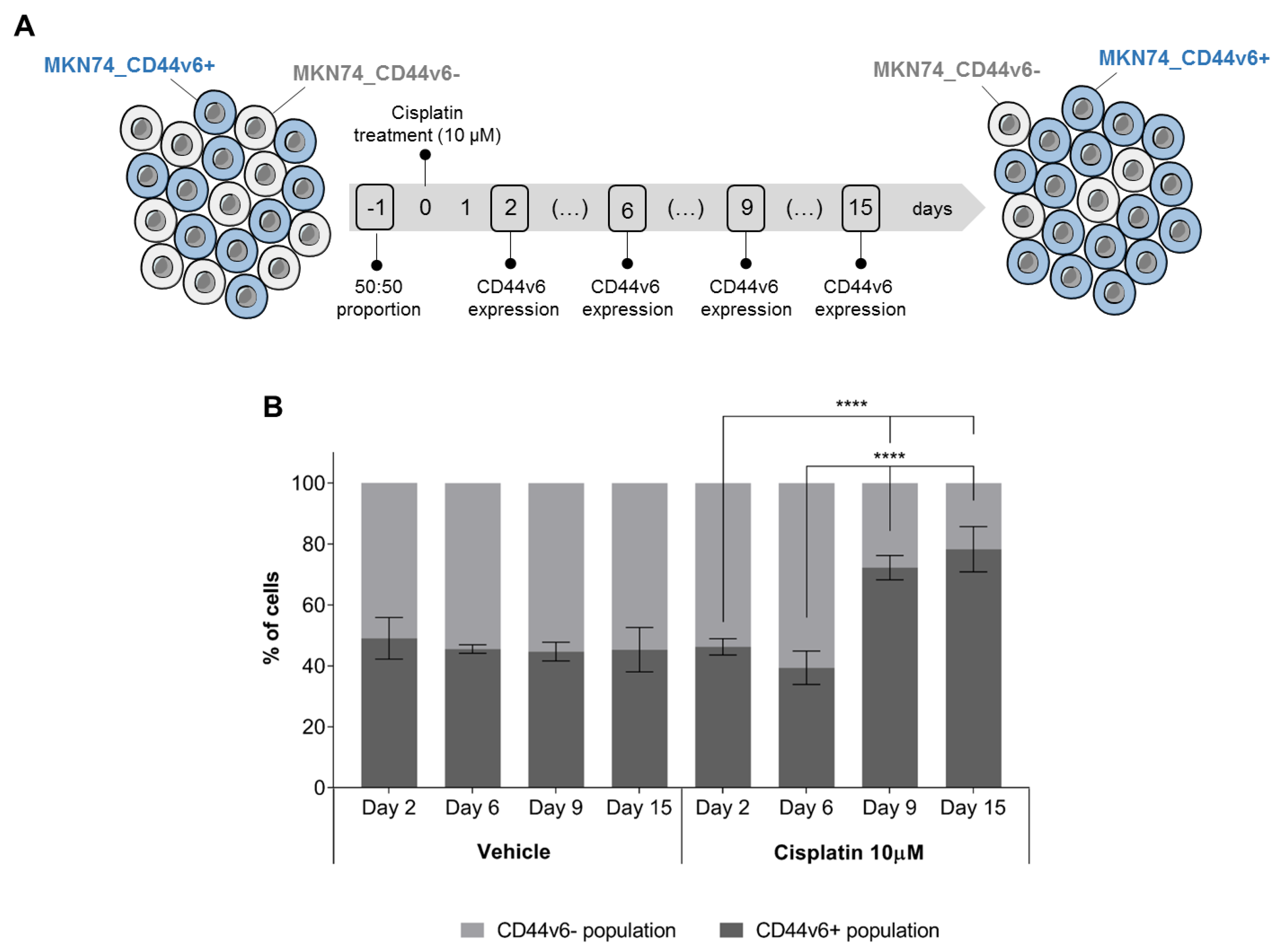 Cancers 12 00858 g005