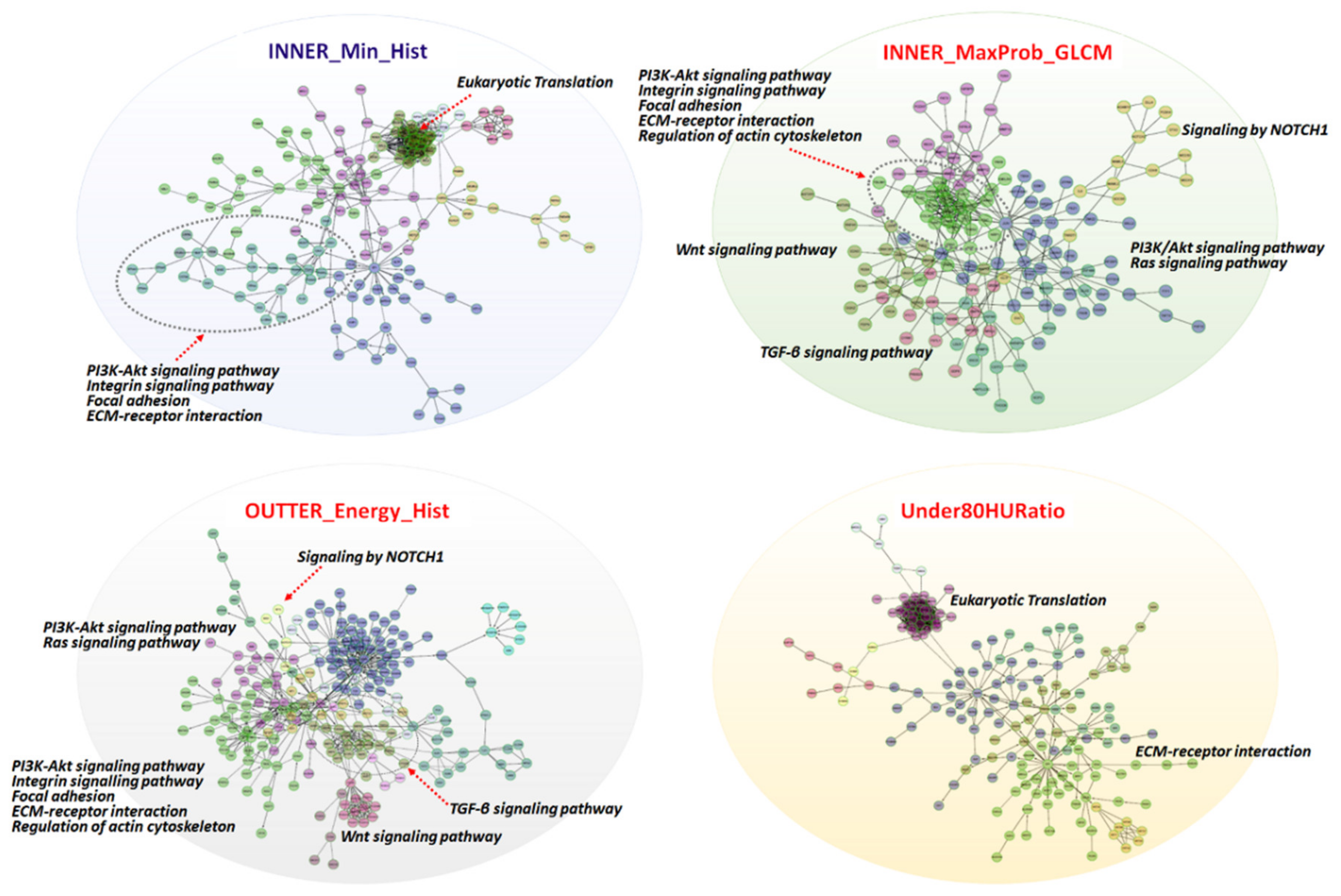 Cancers 12 00866 g004 Cancers 12 00866 g004