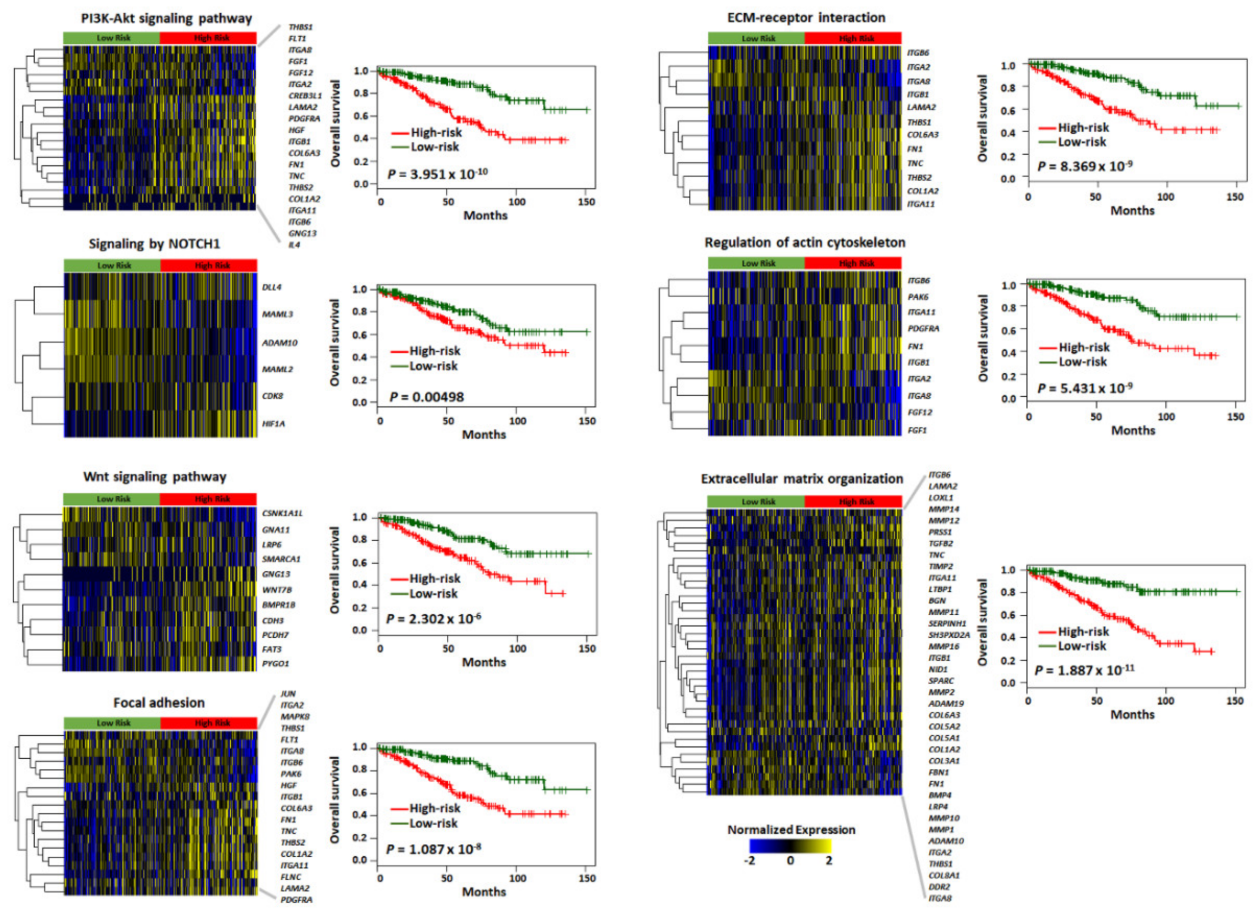 Cancers 12 00866 g005 Cancers 12 00866 g005