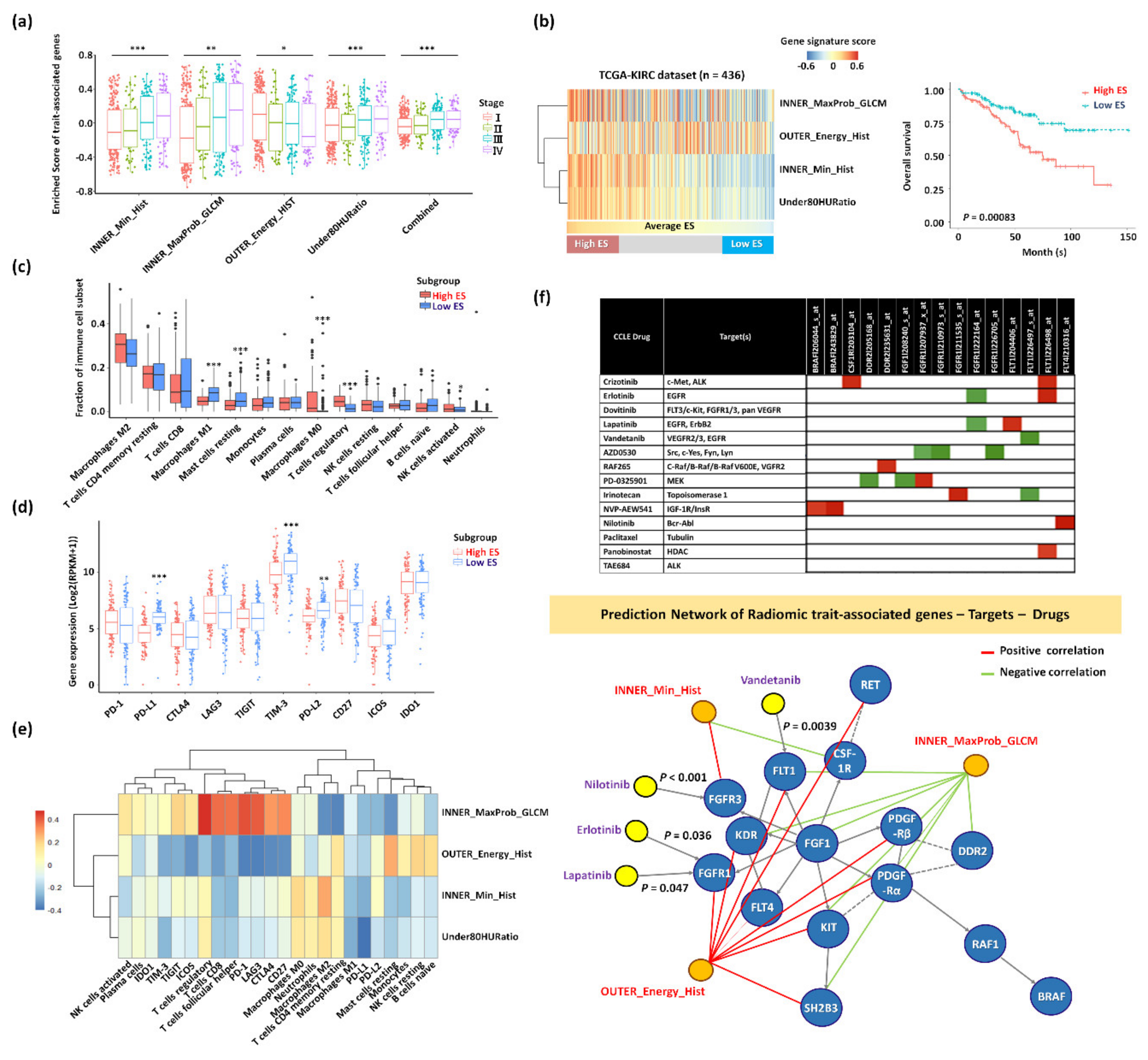 Cancers 12 00866 g006 Cancers 12 00866 g006