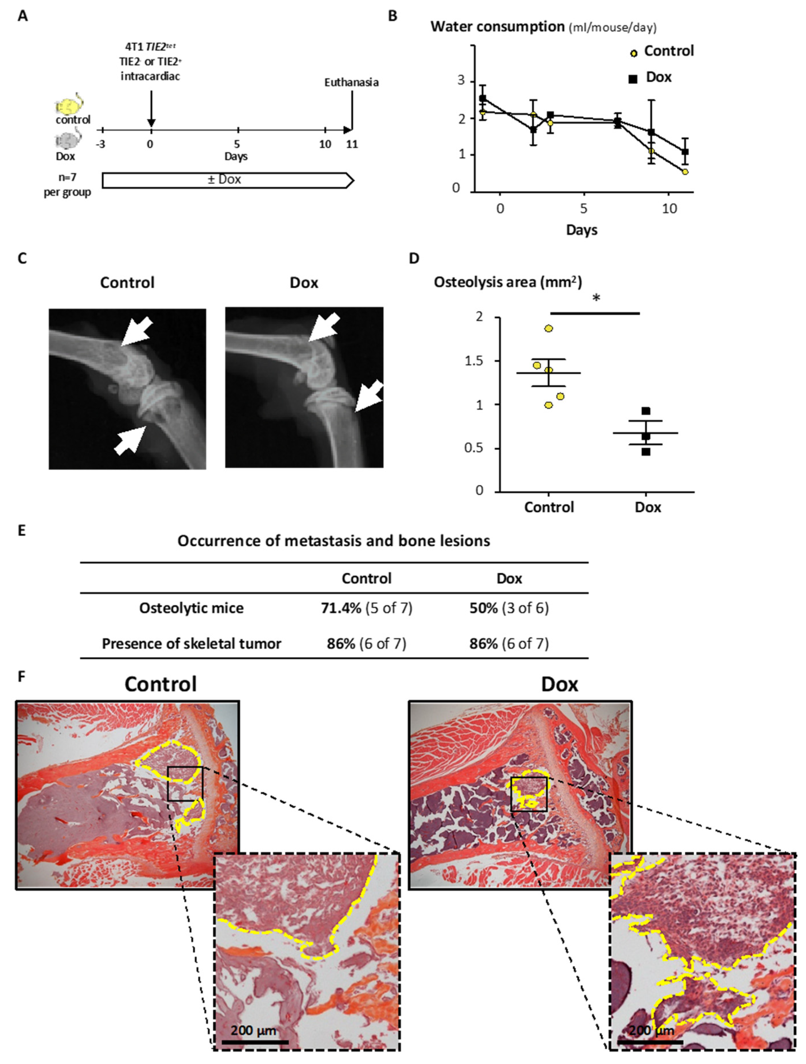 Cancers 12 00868 g008
