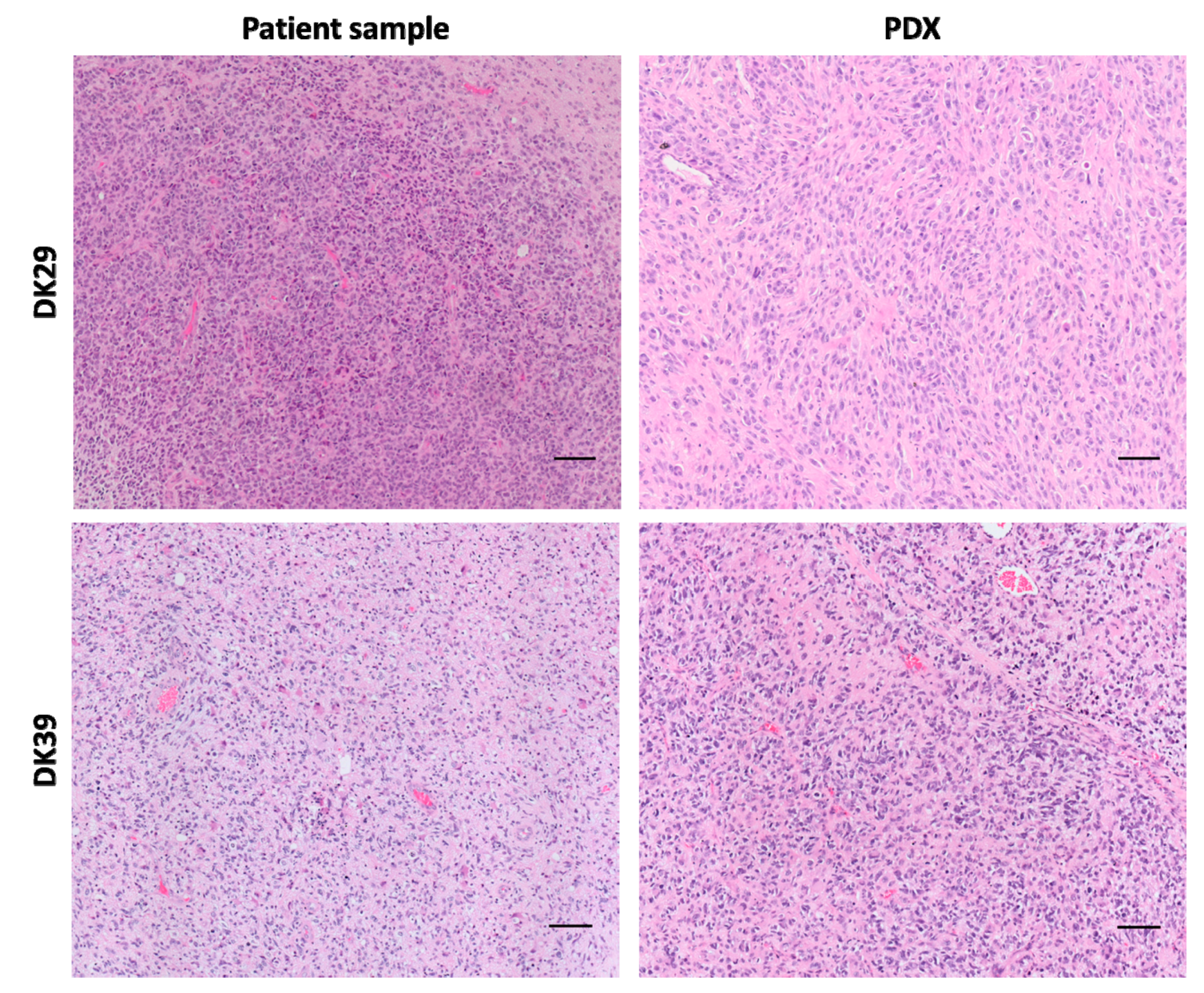 Cancers 12 00871 g005 Cancers 12 00871 g005
