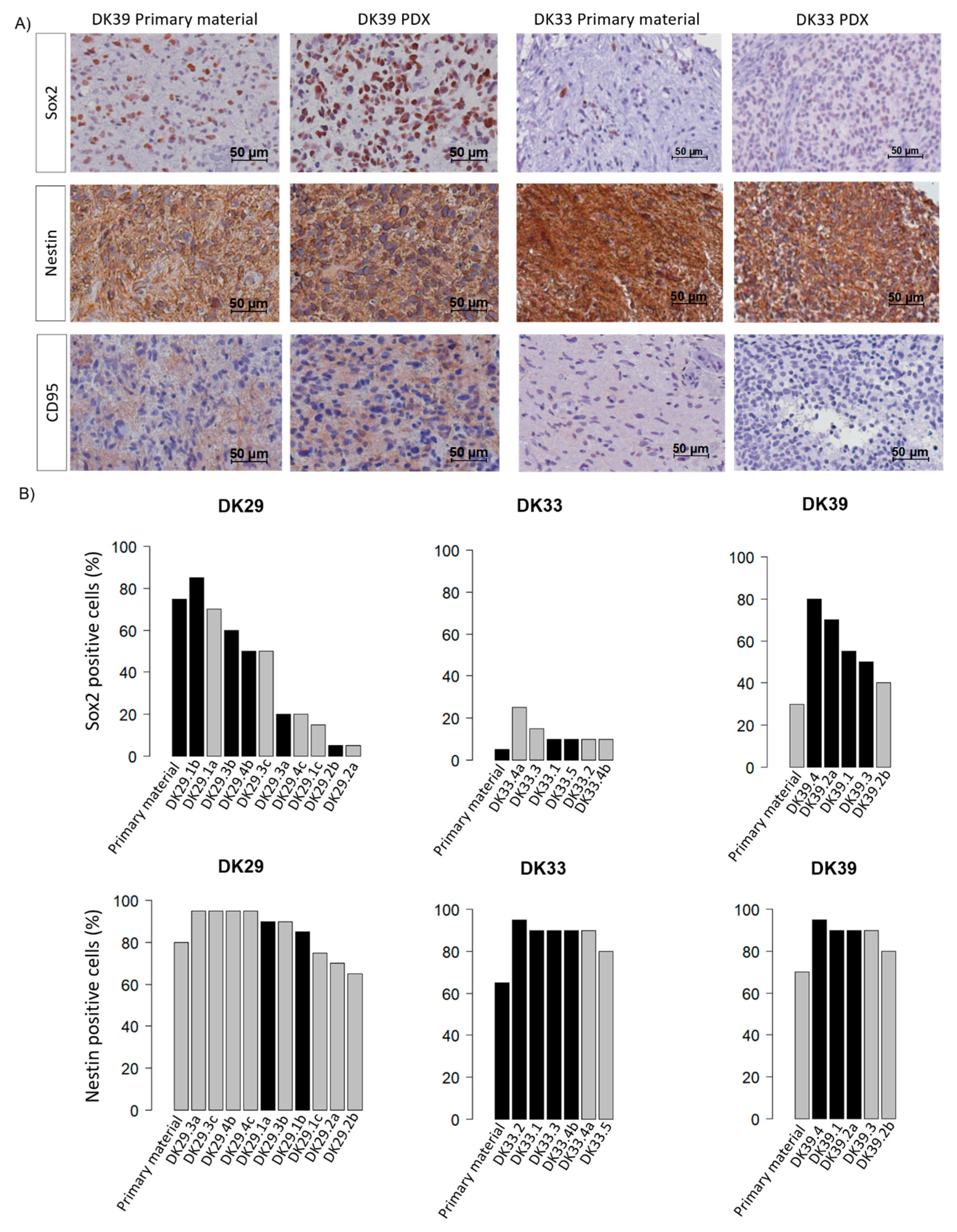 Cancers 12 00871 g007 Cancers 12 00871 g007