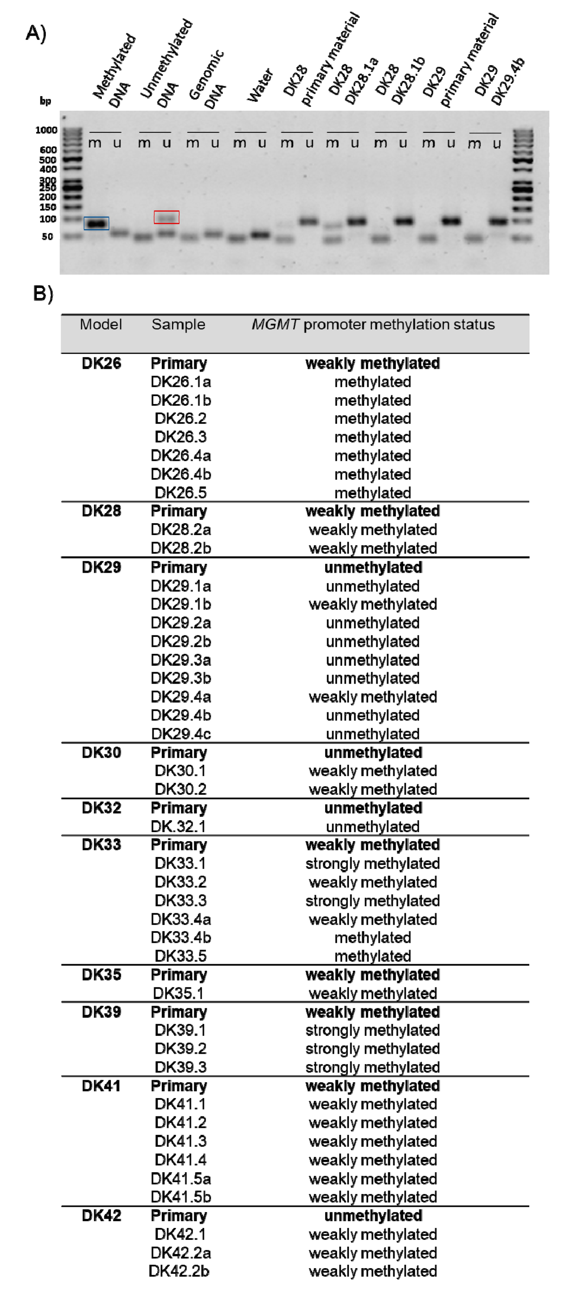 Cancers 12 00871 g008 Cancers 12 00871 g008