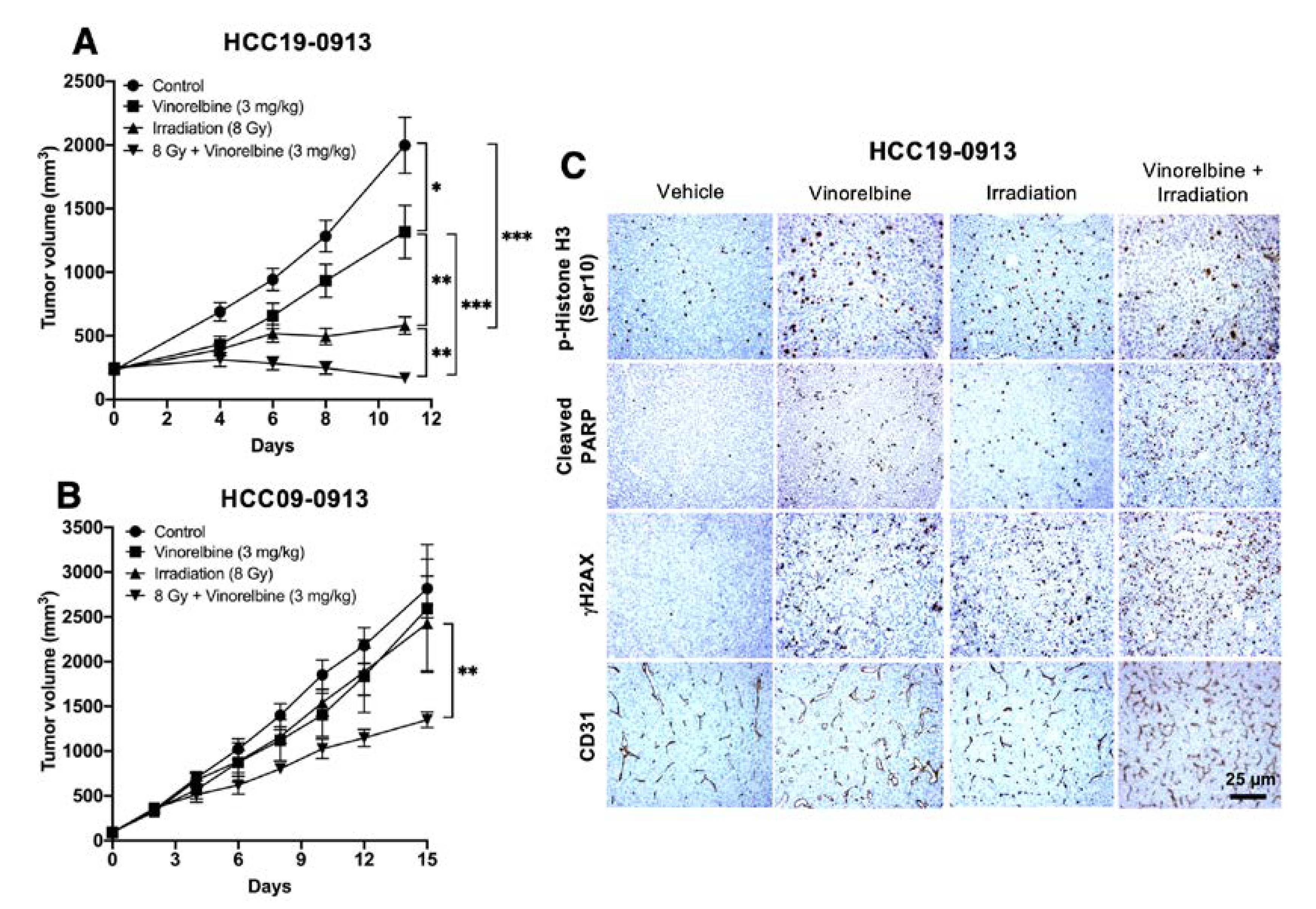 Cancers 12 00872 g003a Cancers 12 00872 g003a