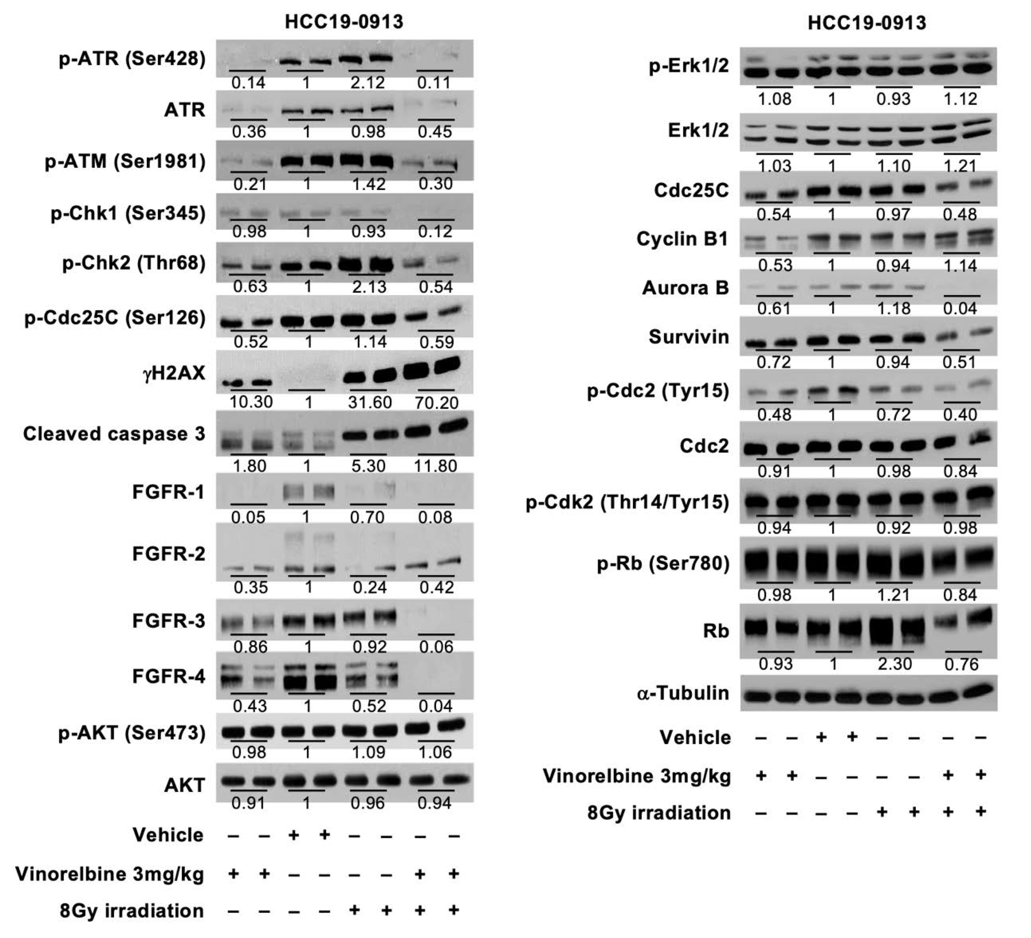 Cancers 12 00872 g004 Cancers 12 00872 g004
