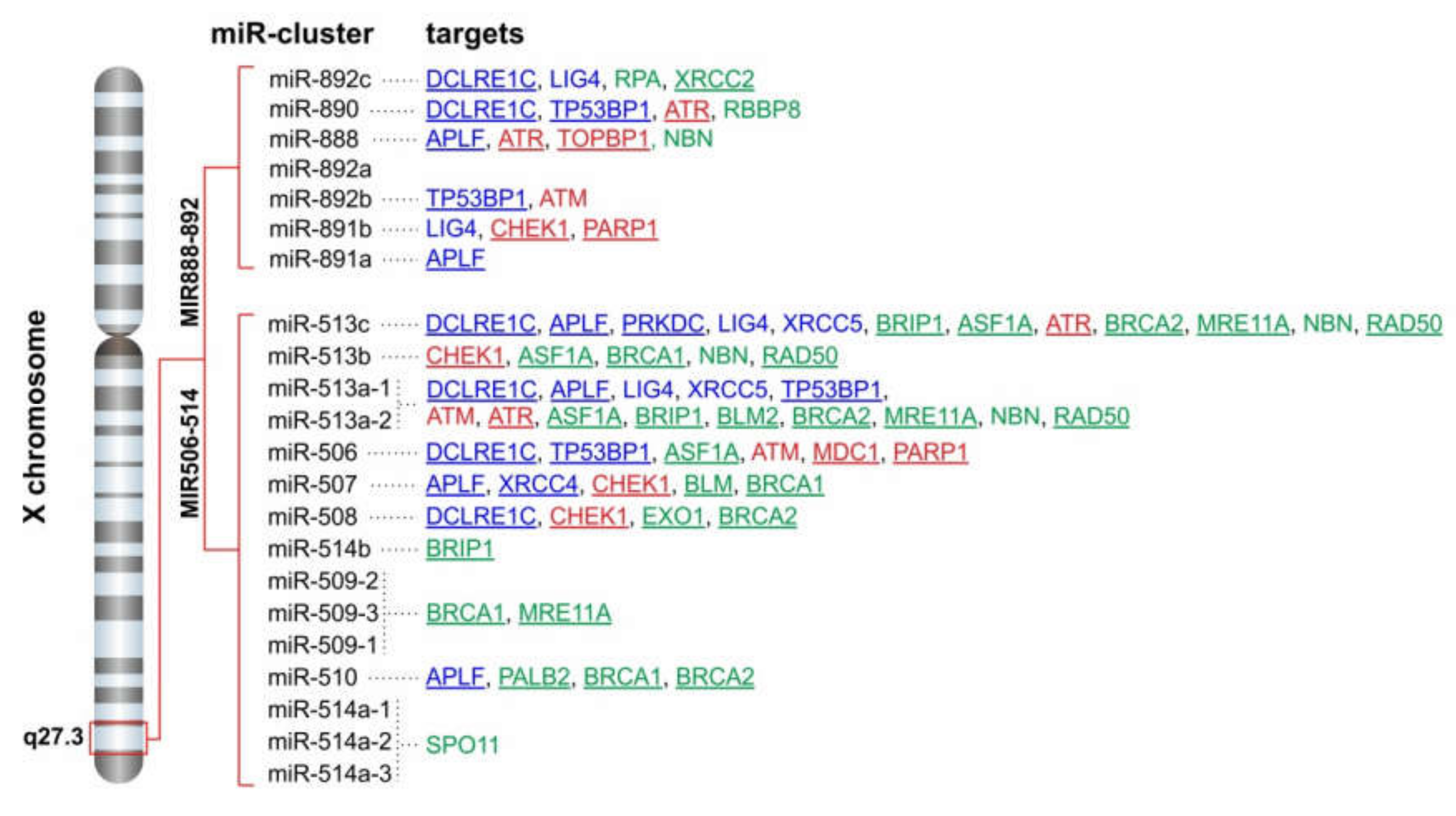Cancers 12 00876 g002 Cancers 12 00876 g002