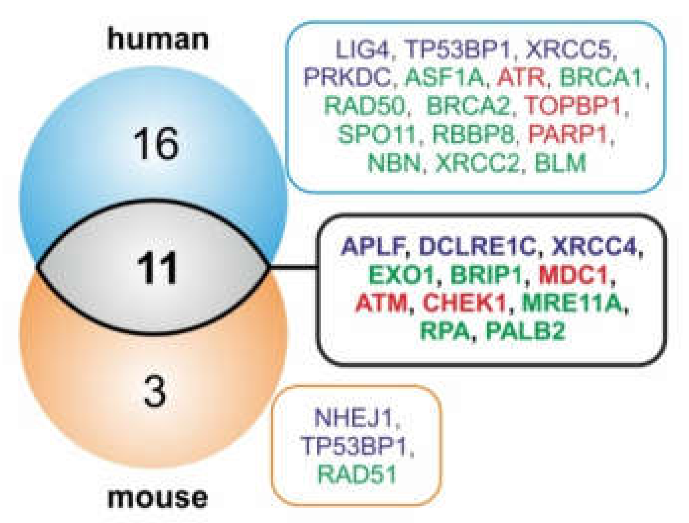 Cancers 12 00876 g003 Cancers 12 00876 g003
