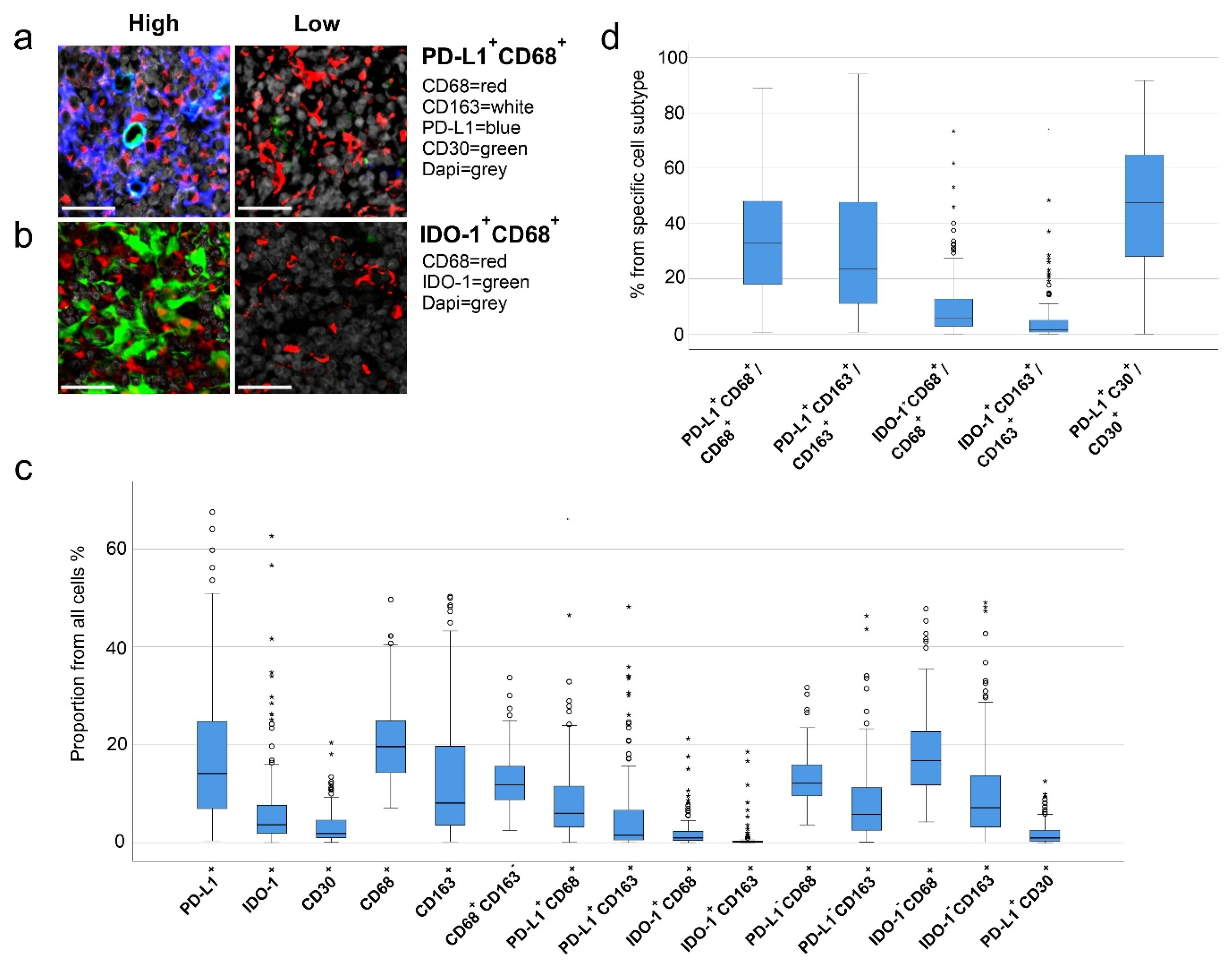 Cancers 12 00877 g001 Cancers 12 00877 g001