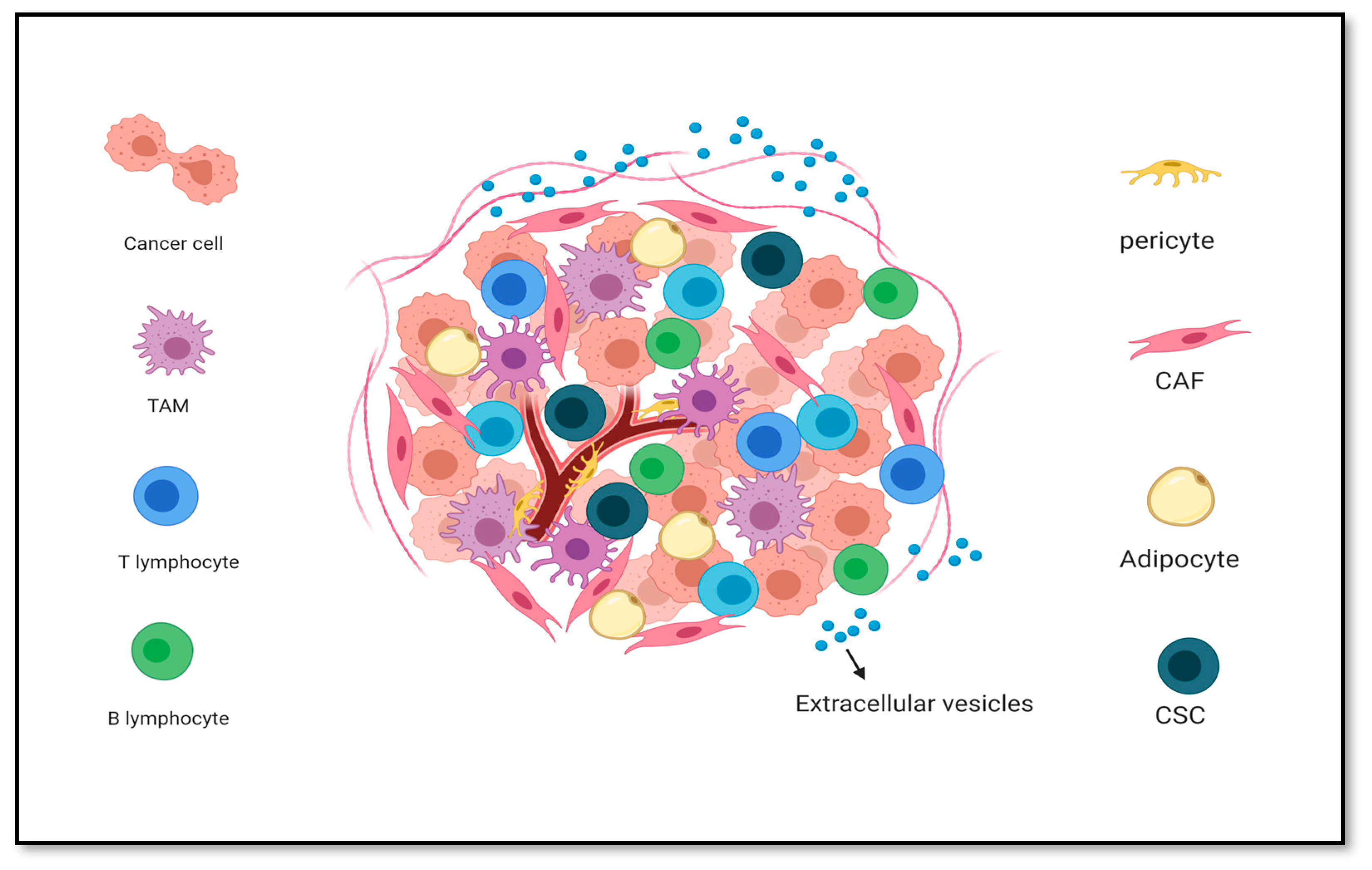 Cancers 12 00879 g002 Cancers 12 00879 g002