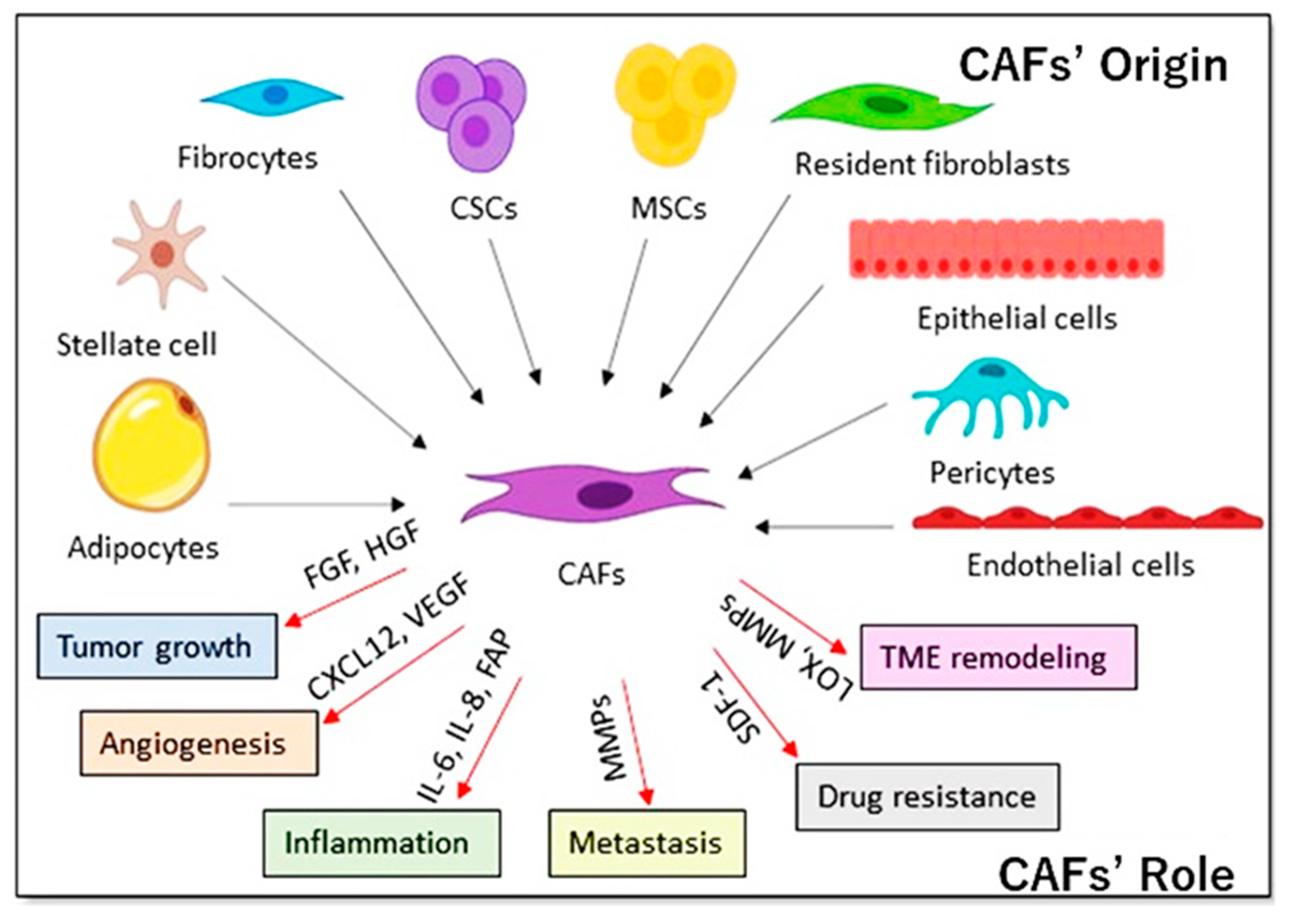 Cancers 12 00879 g003 Cancers 12 00879 g003