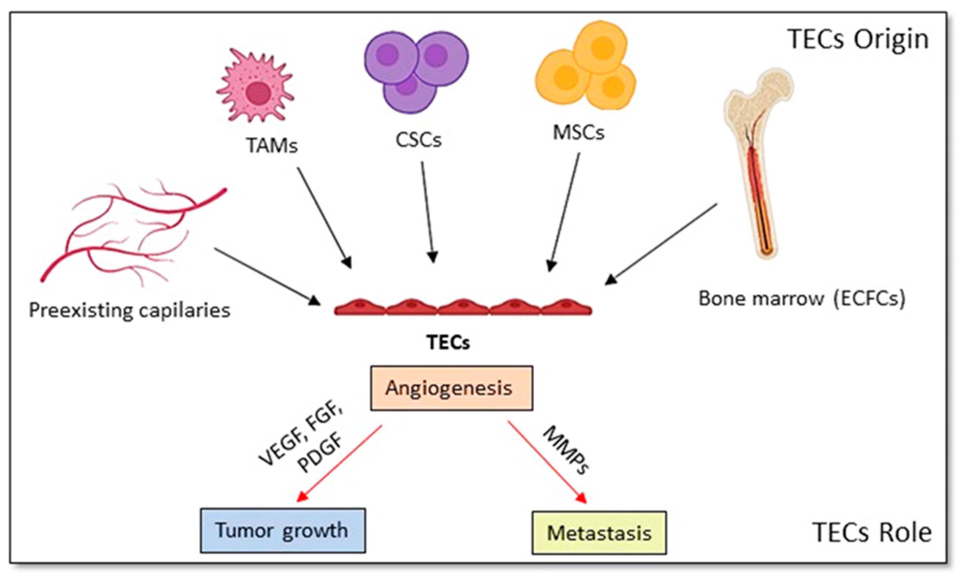 Cancers 12 00879 g004 Cancers 12 00879 g004