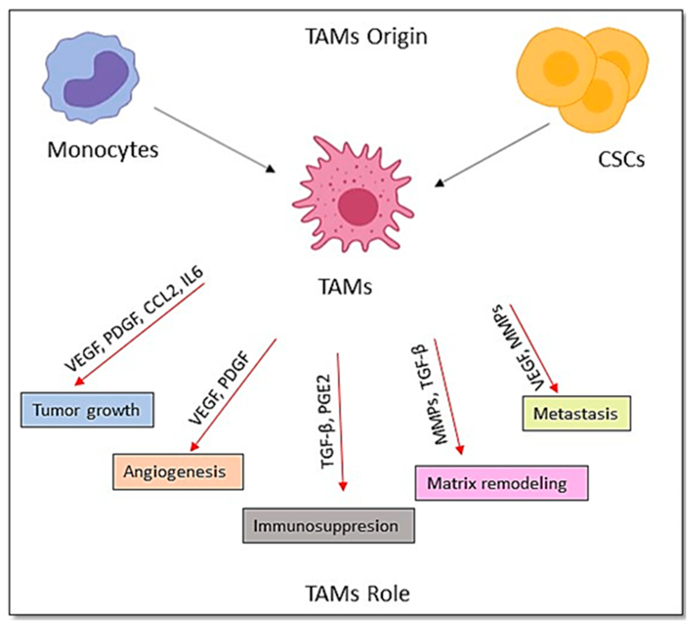 Cancers 12 00879 g005 Cancers 12 00879 g005