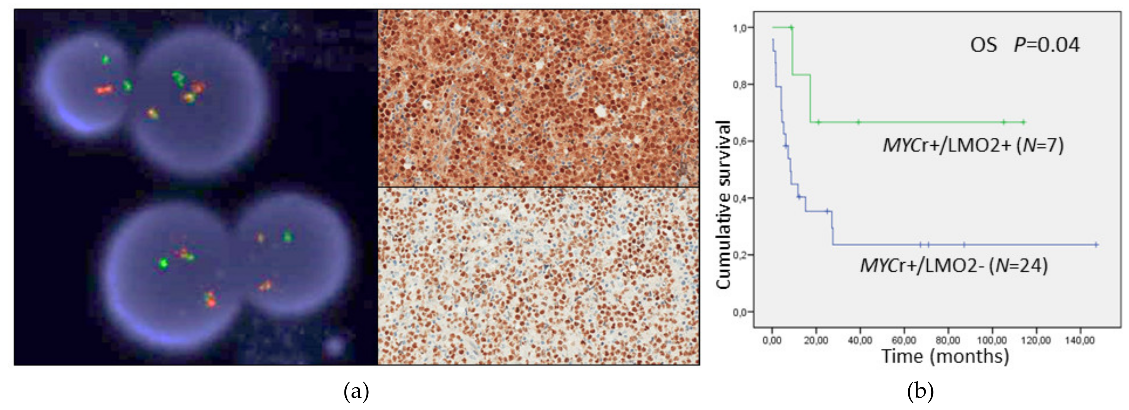 Cancers 12 00884 g003 Cancers 12 00884 g003