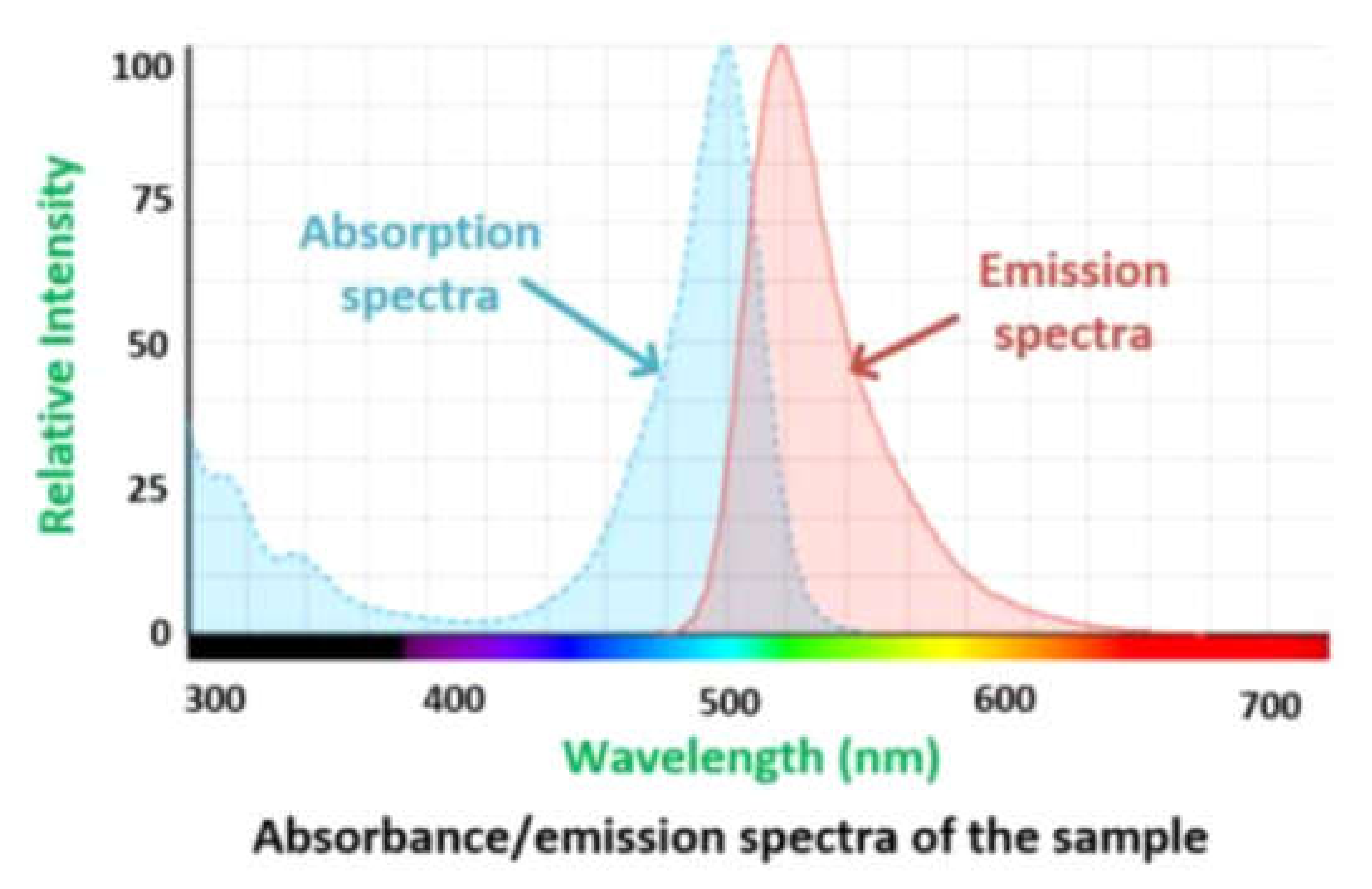 Cancers 12 00890 g005 Cancers 12 00890 g005