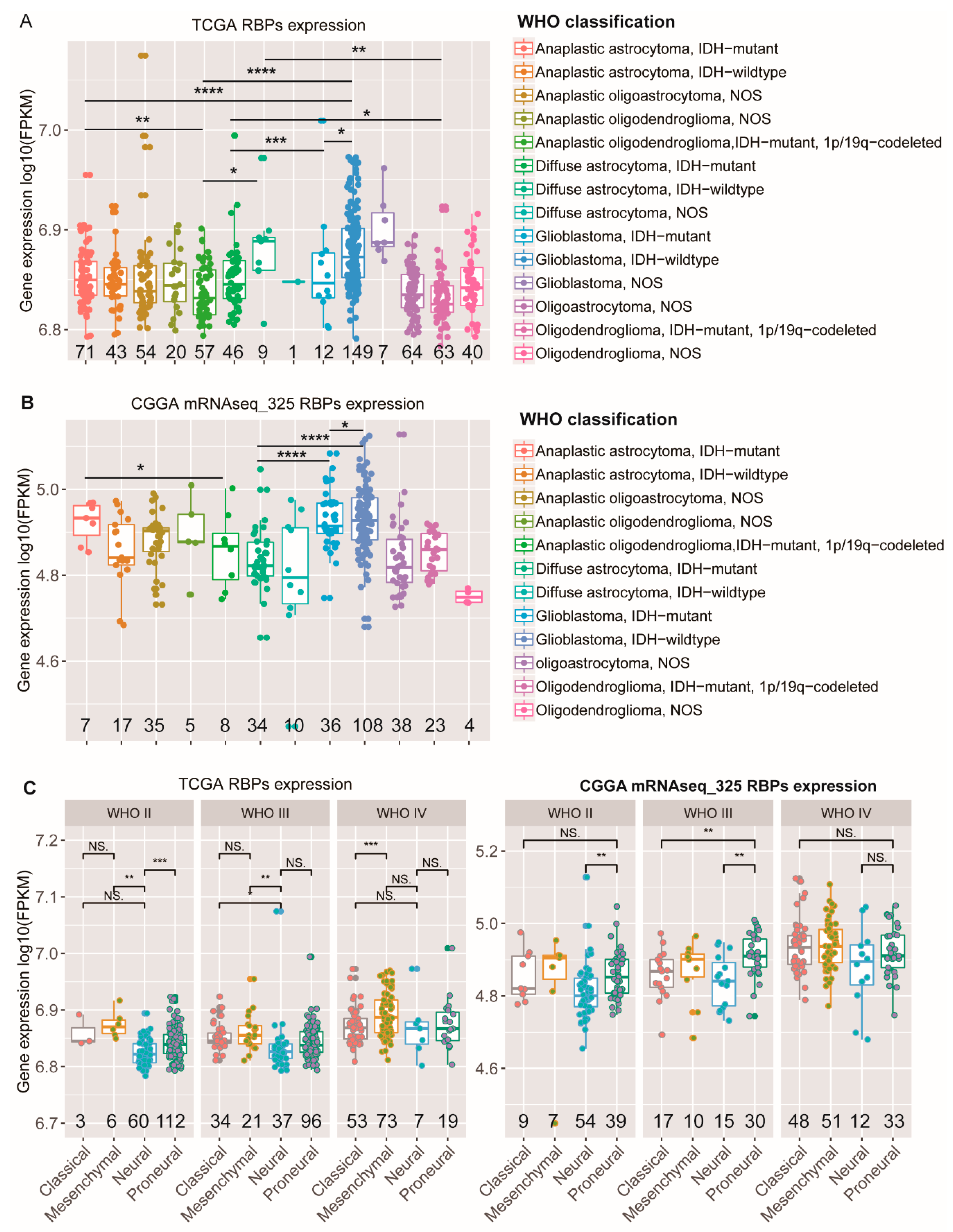 Cancers 12 00892 g002