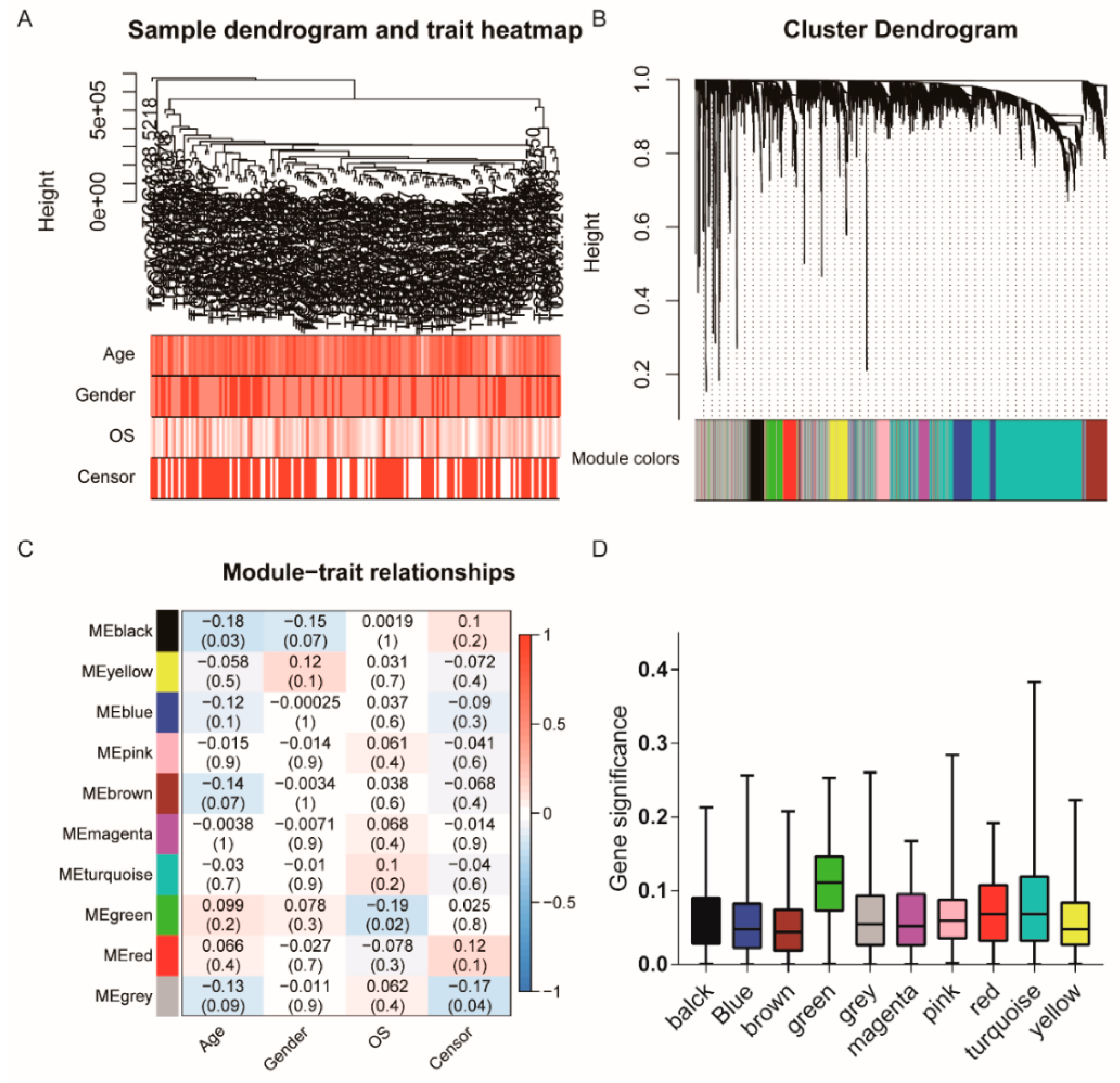 Cancers 12 00892 g004