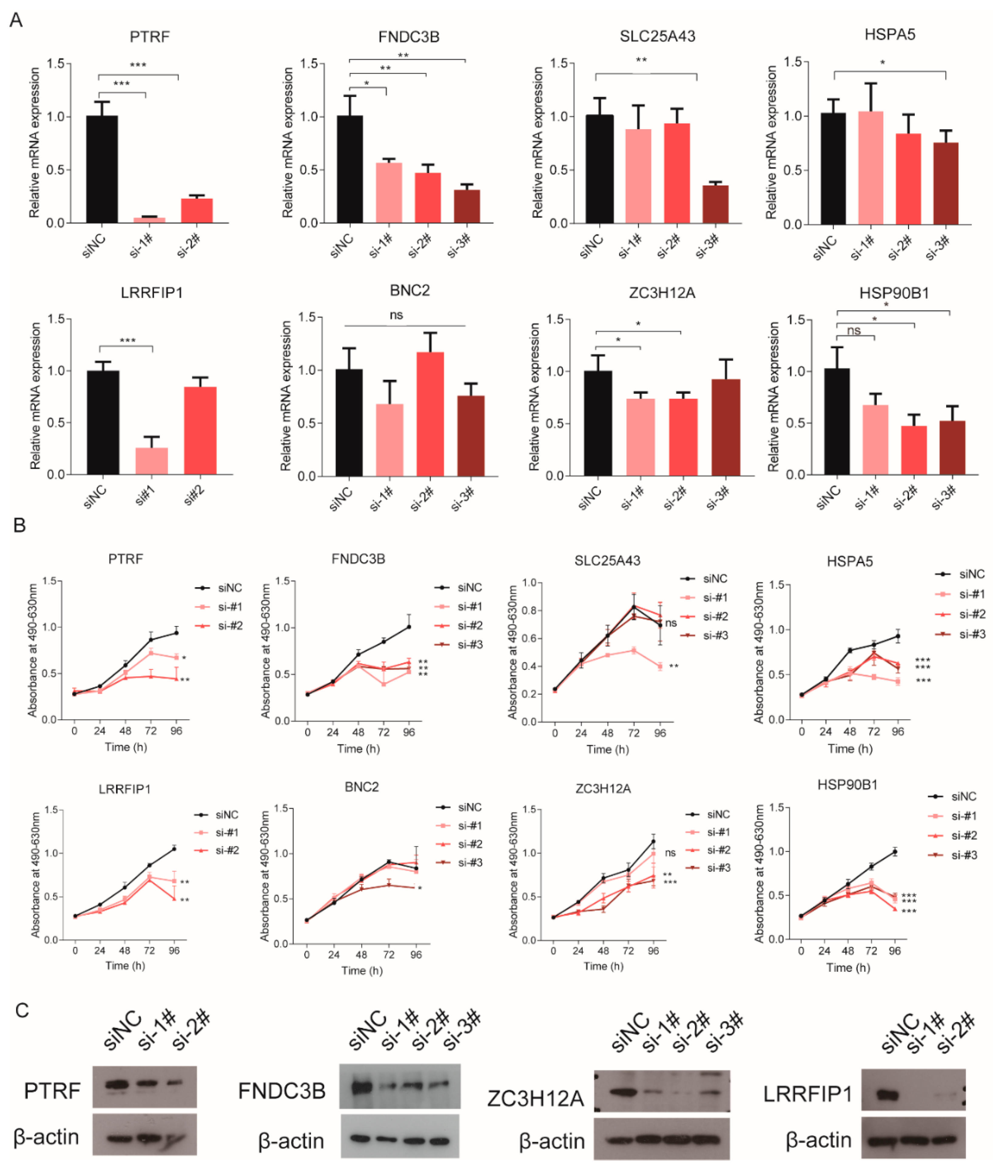 Cancers 12 00892 g006